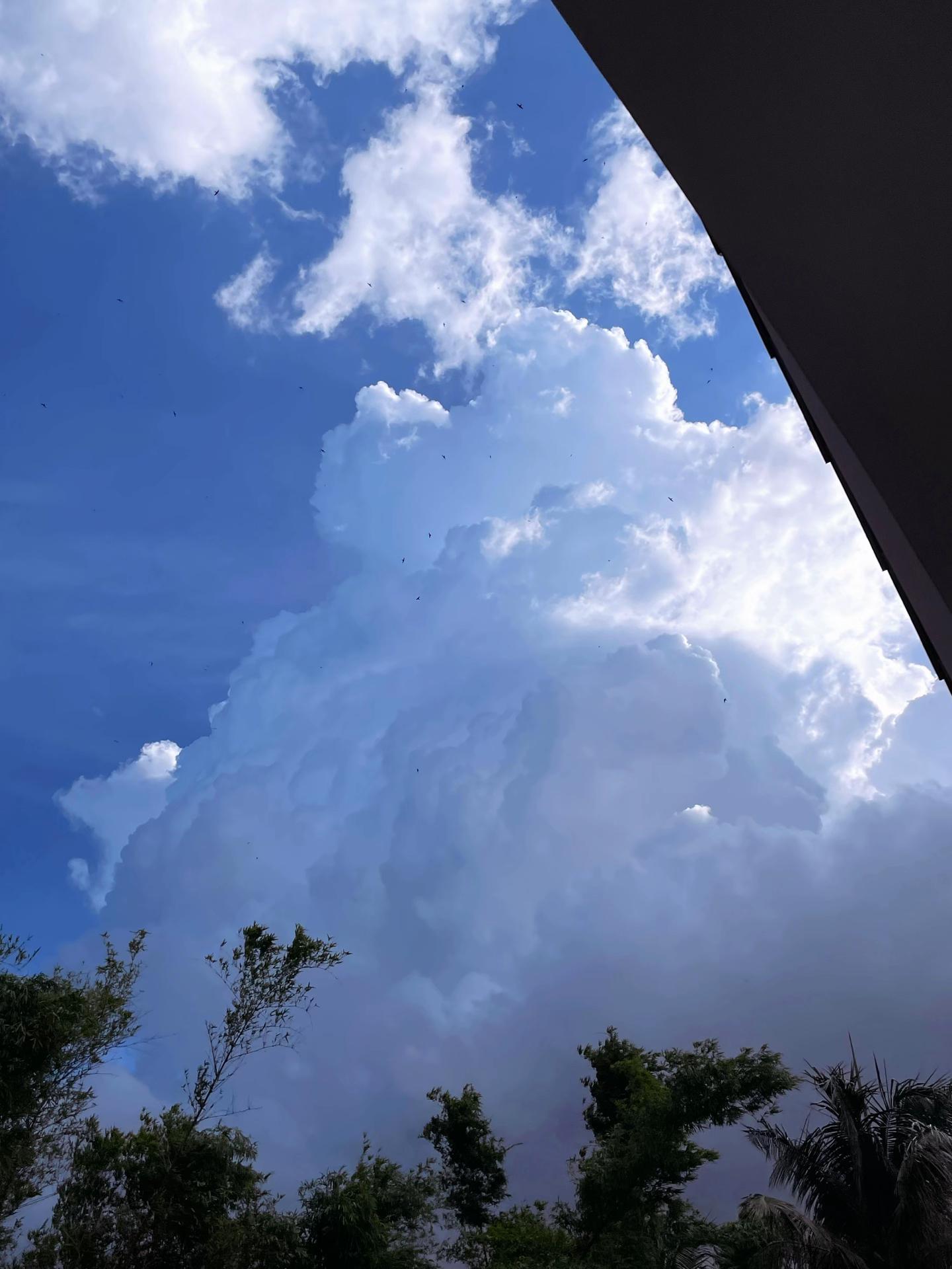 @𝐁ả𝐨 𝐇â𝐧