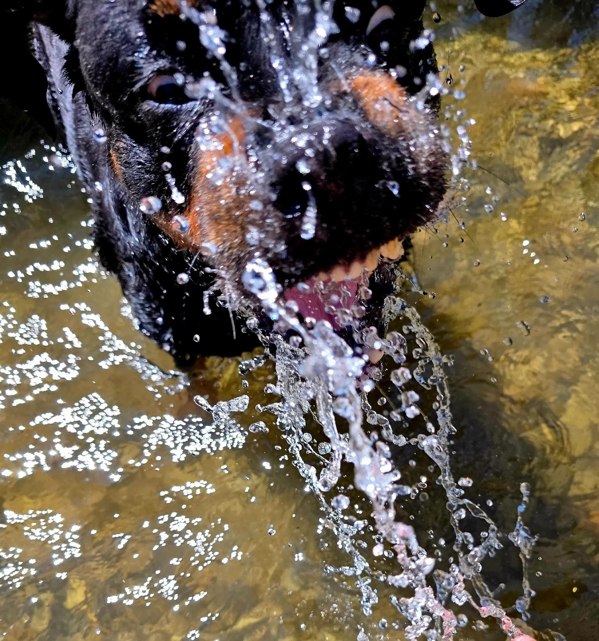 @❤️KyRa❤️RoTTie