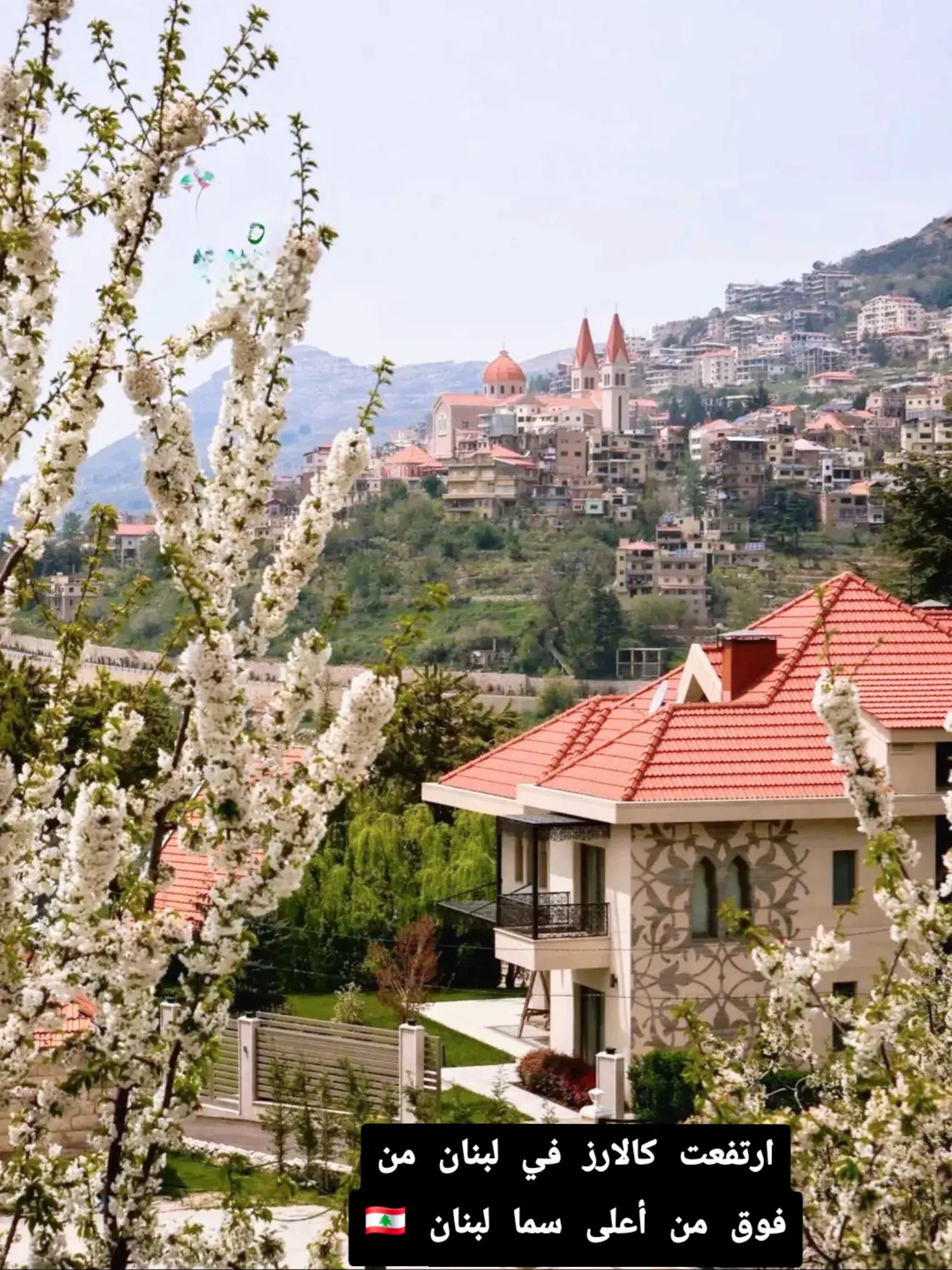 @Yara Dolores🇱🇧