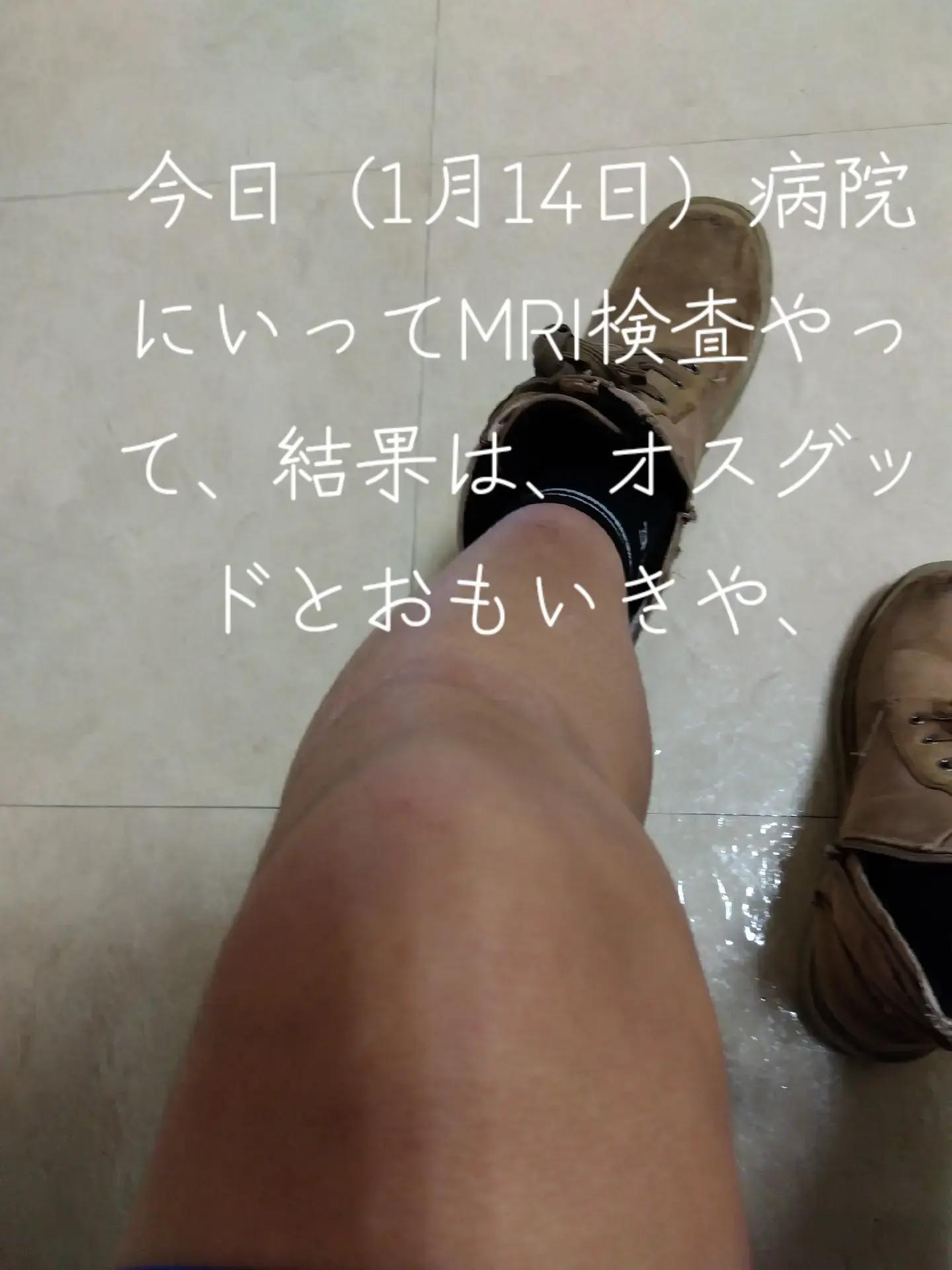 @マカキツネのかいたん