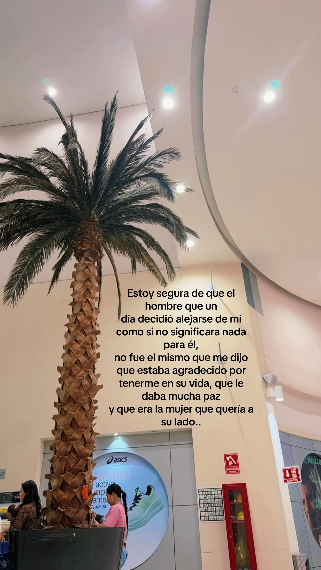 @Dani 🦢✨🩷
