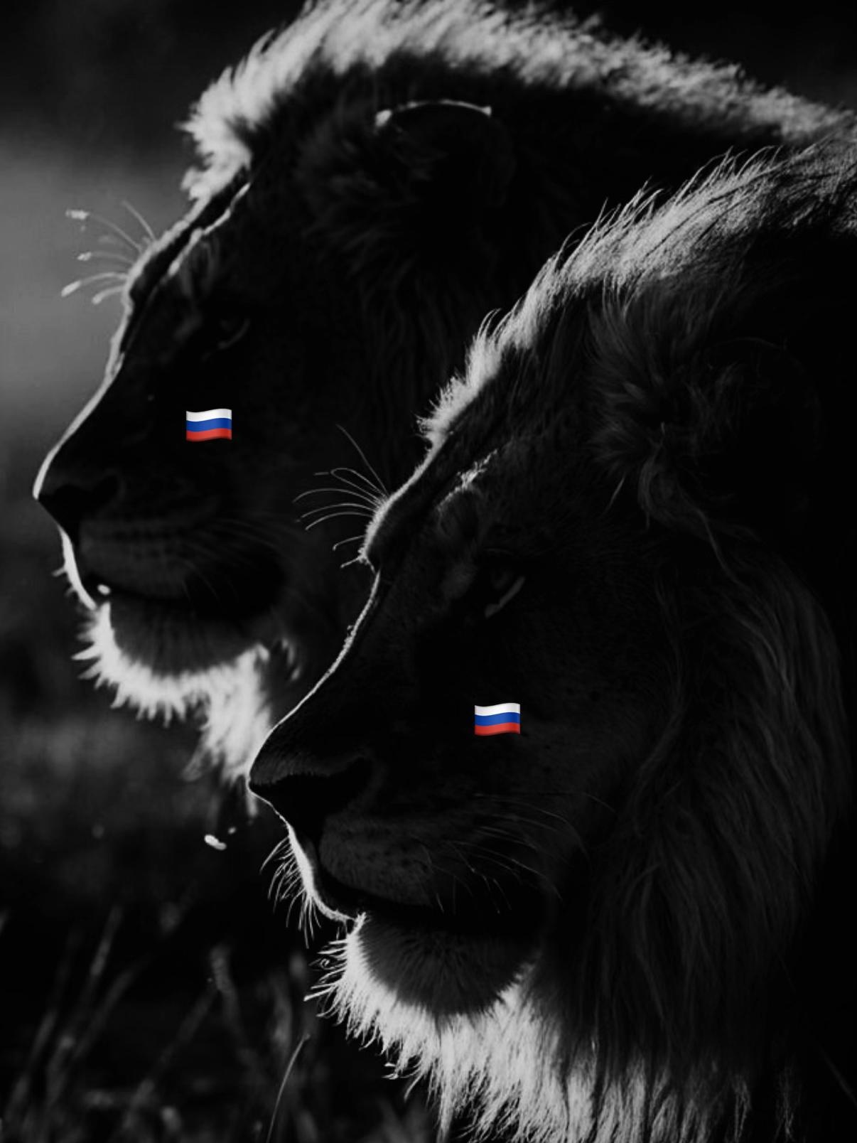 @THE DAGESTAN NINJA 🥷
