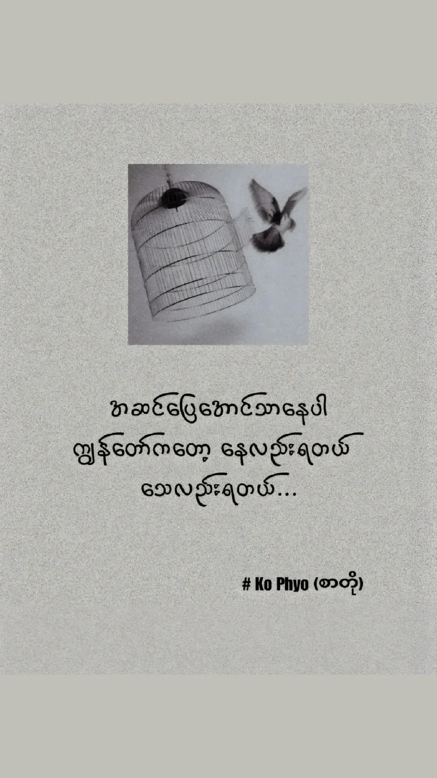 @Zuu Zue