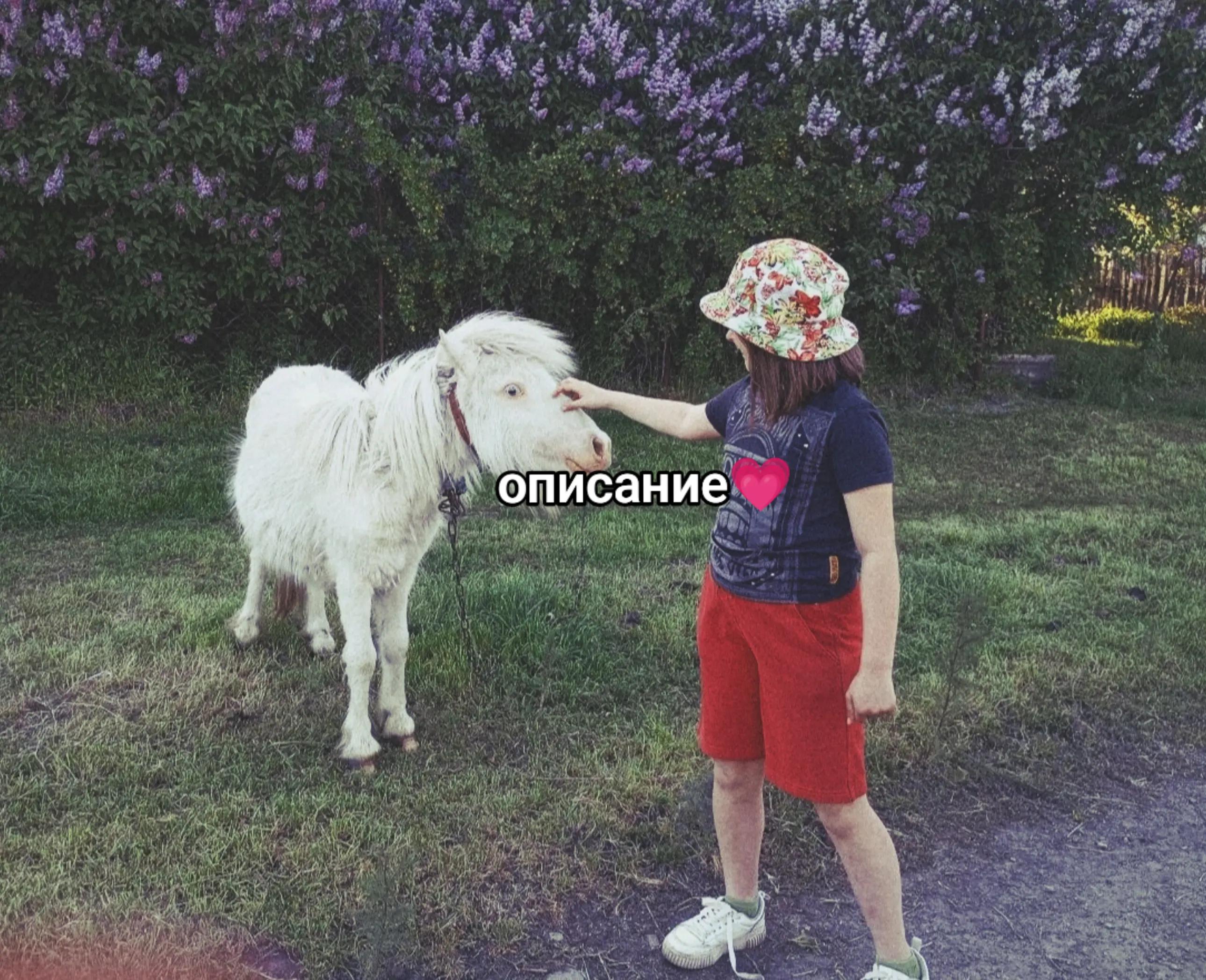 @ульянка😽