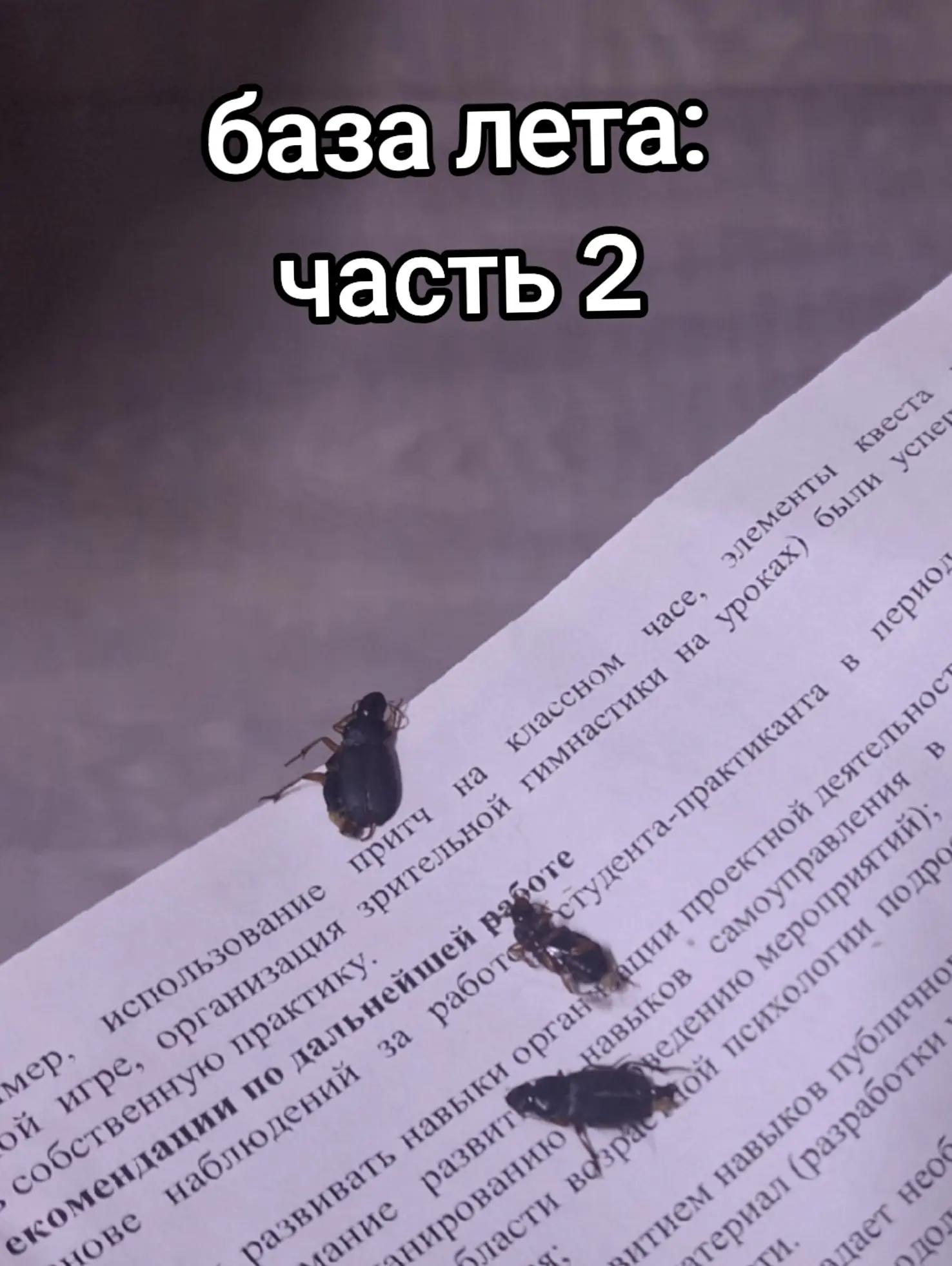 @Патрику не