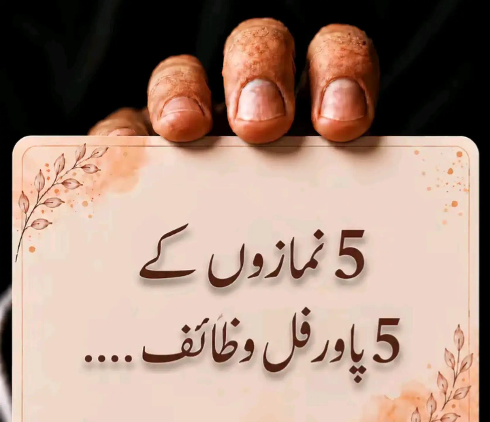 @mishii rajpoot 🔐
