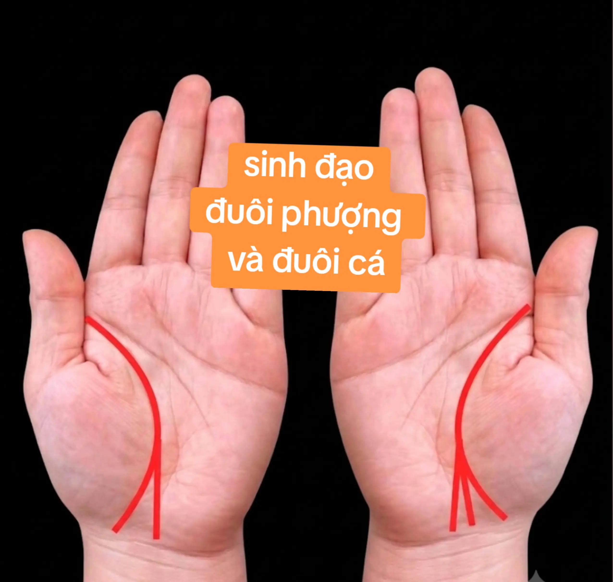 @Nhân Tướng Sửa Mình (Đỗ Lâm)