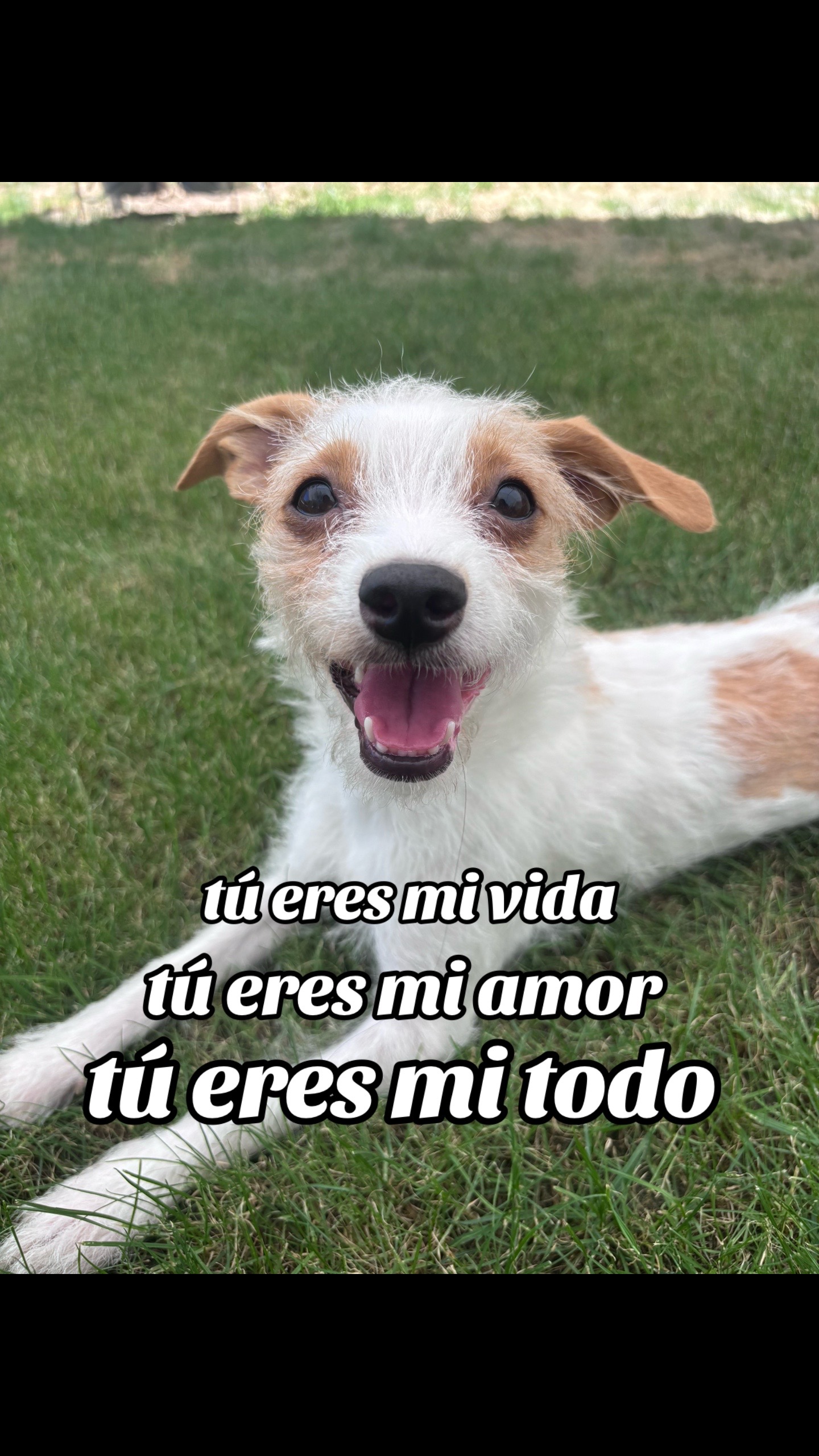 @rencia
