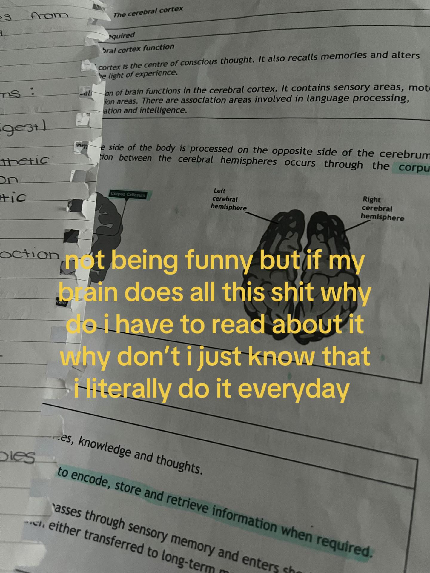 @emmalouise.spam.23