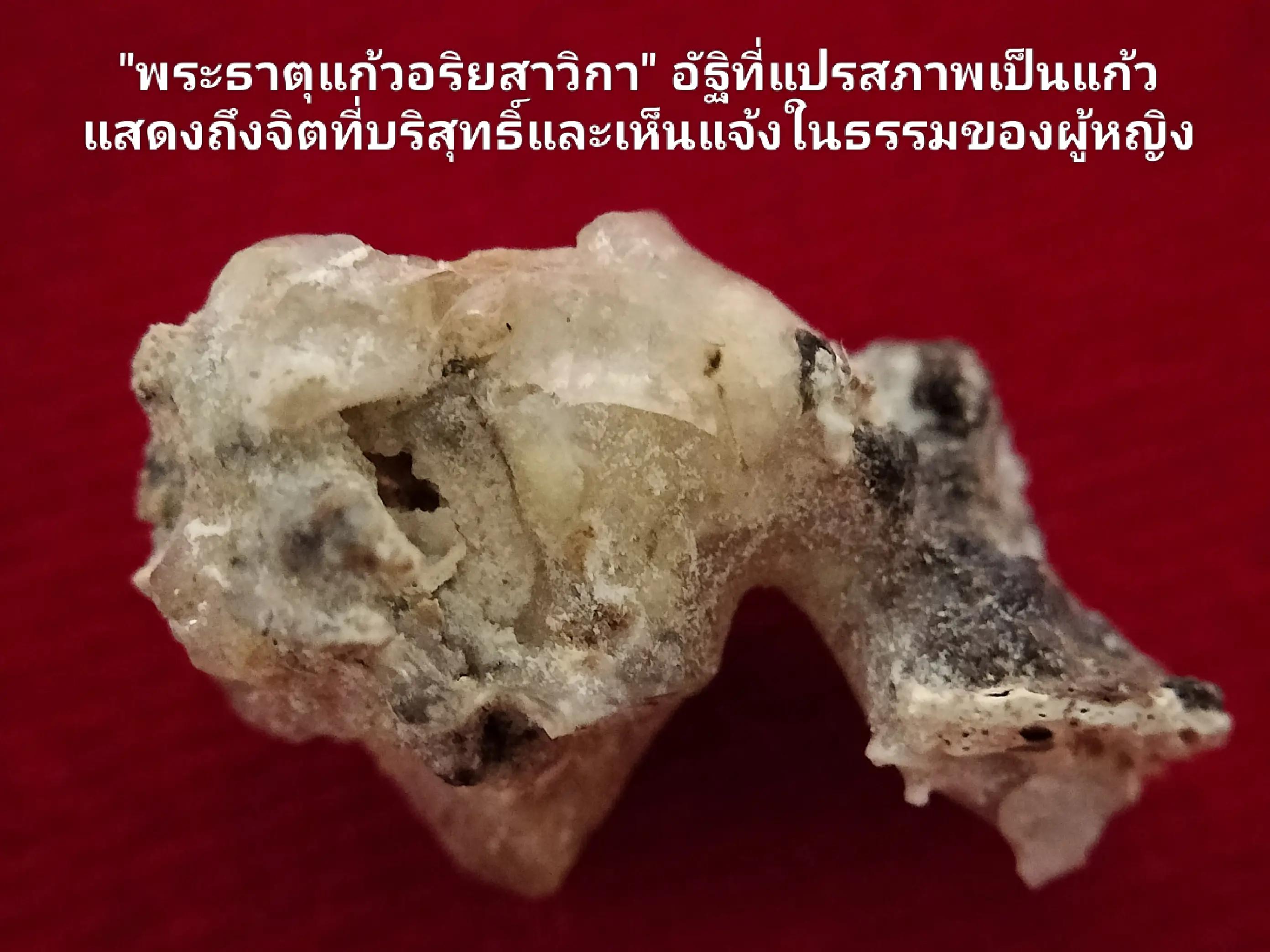 @ชมรมรักษ์พระบรมธาตุฯ