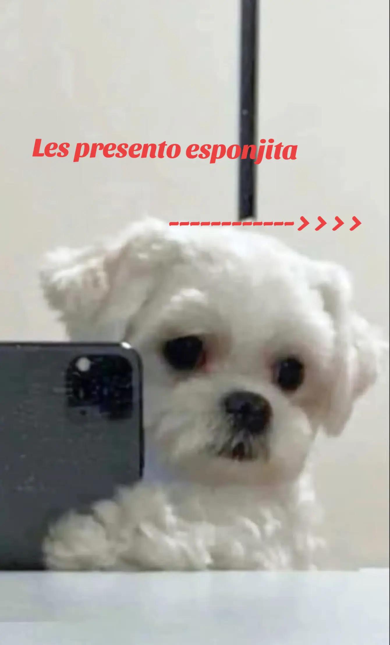 @Chelito_🥷🔥