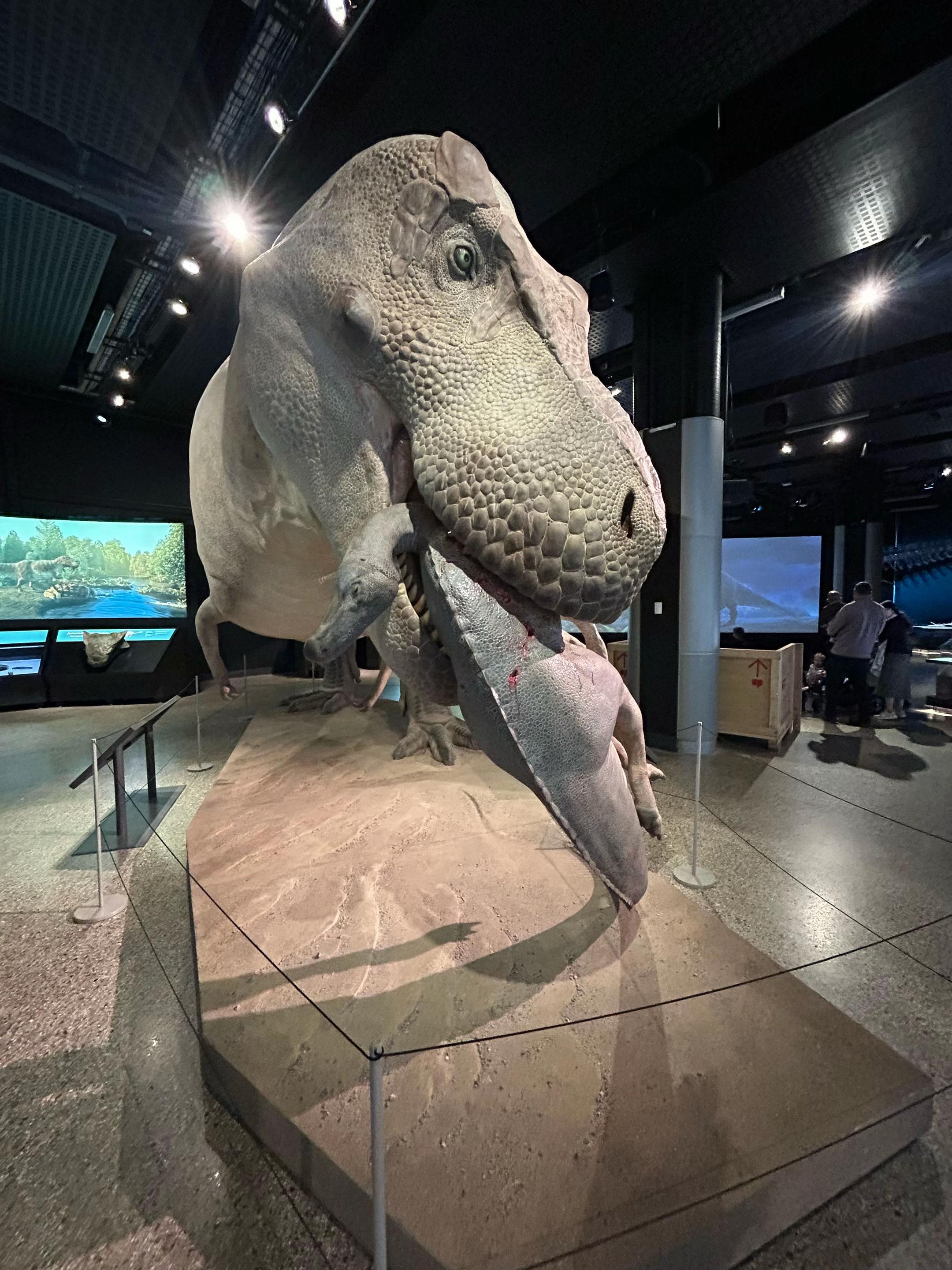 @Sarcastic_therapsid