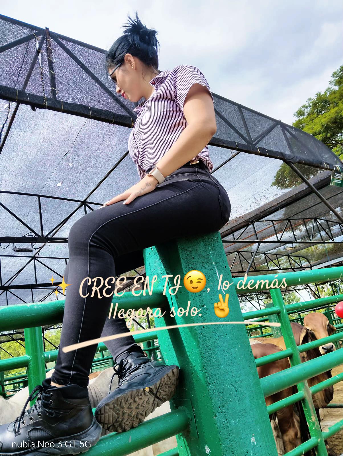 @G&eacute;minis