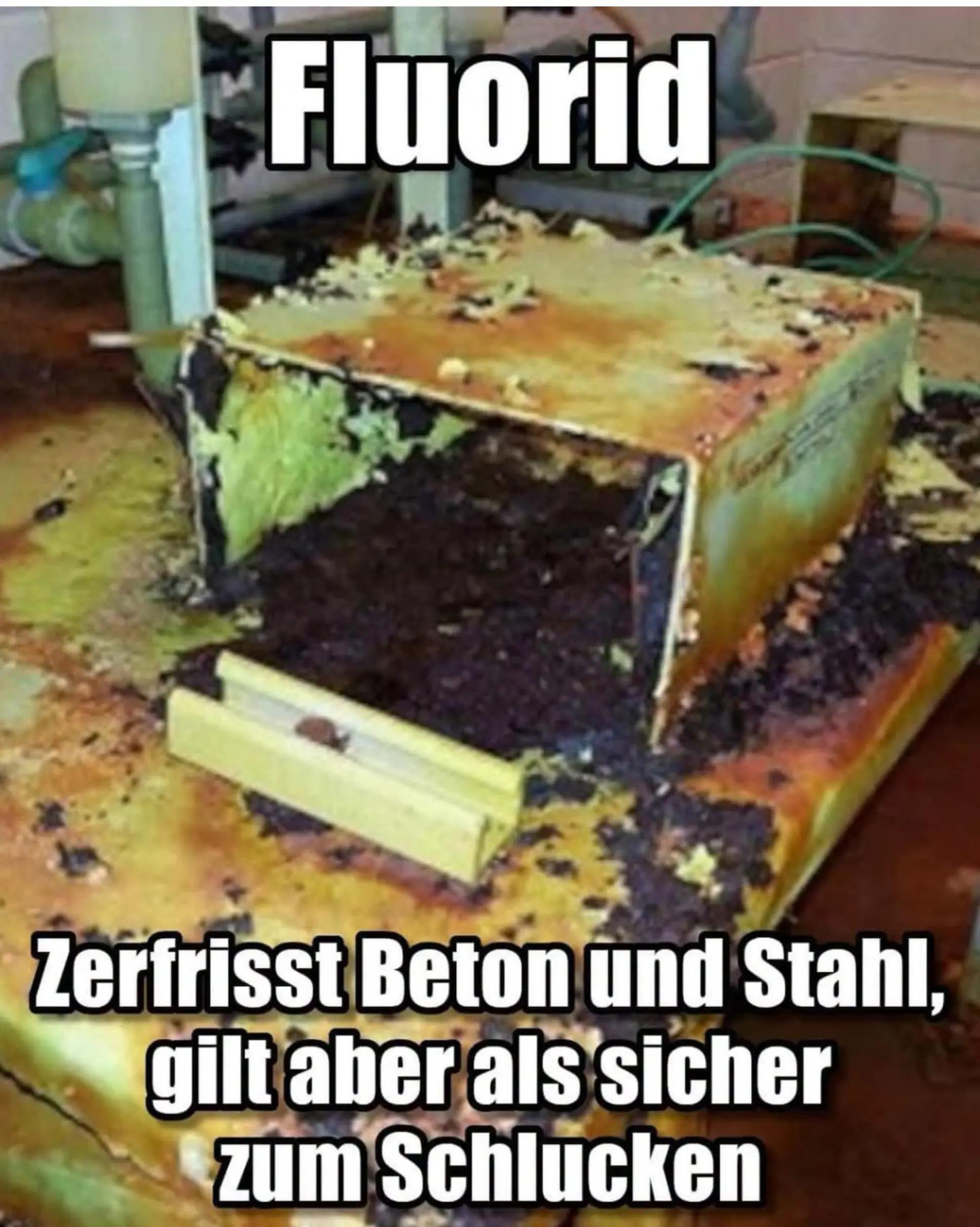 @WurzelRebellin♓