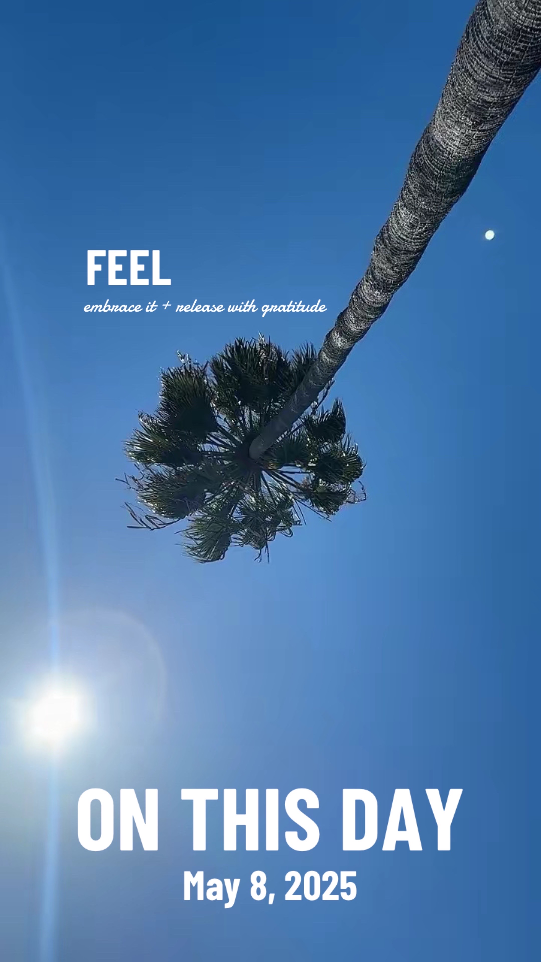 @𝗠𝗜𝗖𝗛𝗘𝗟𝗟𝗘