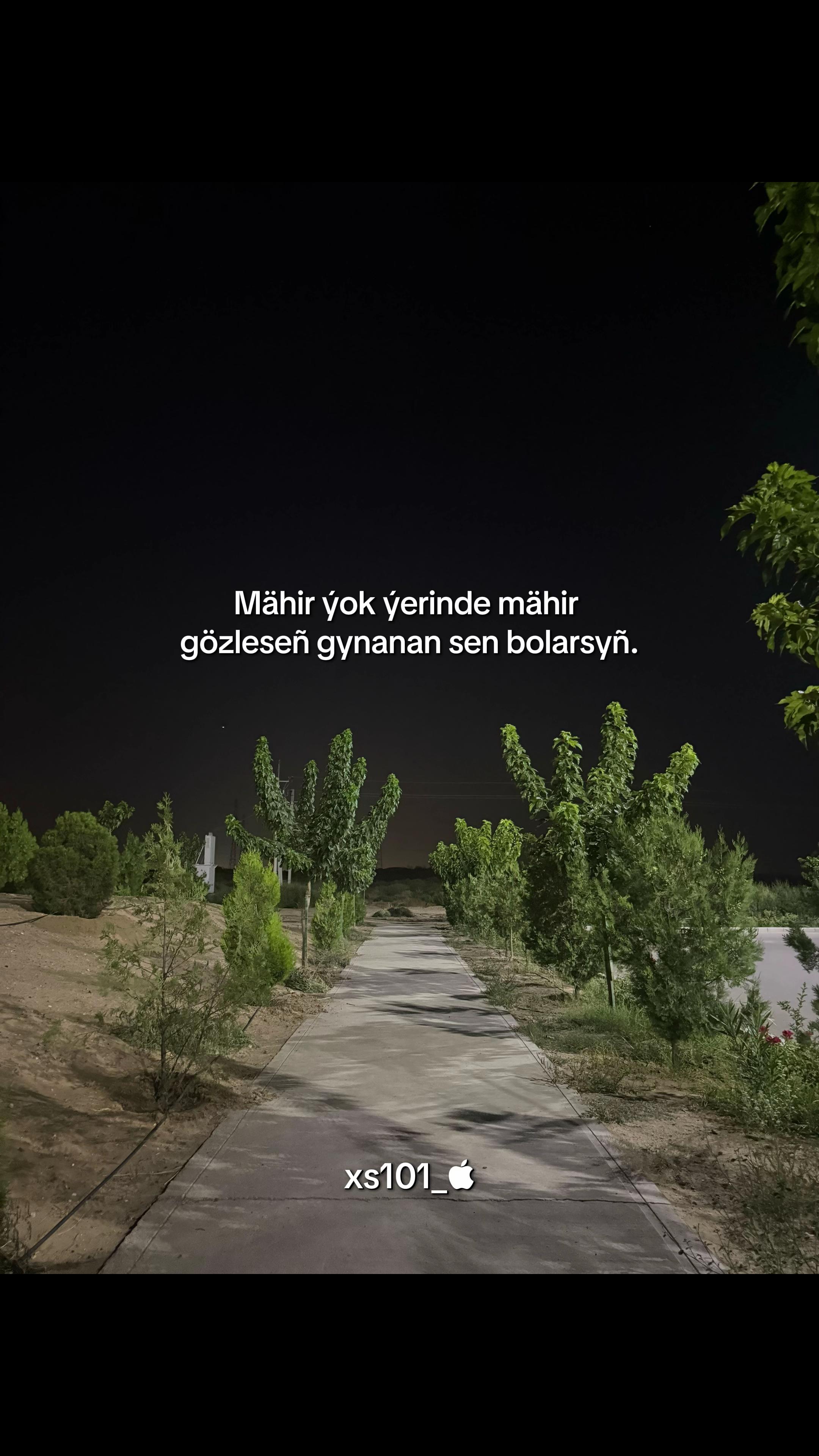 @xs101_