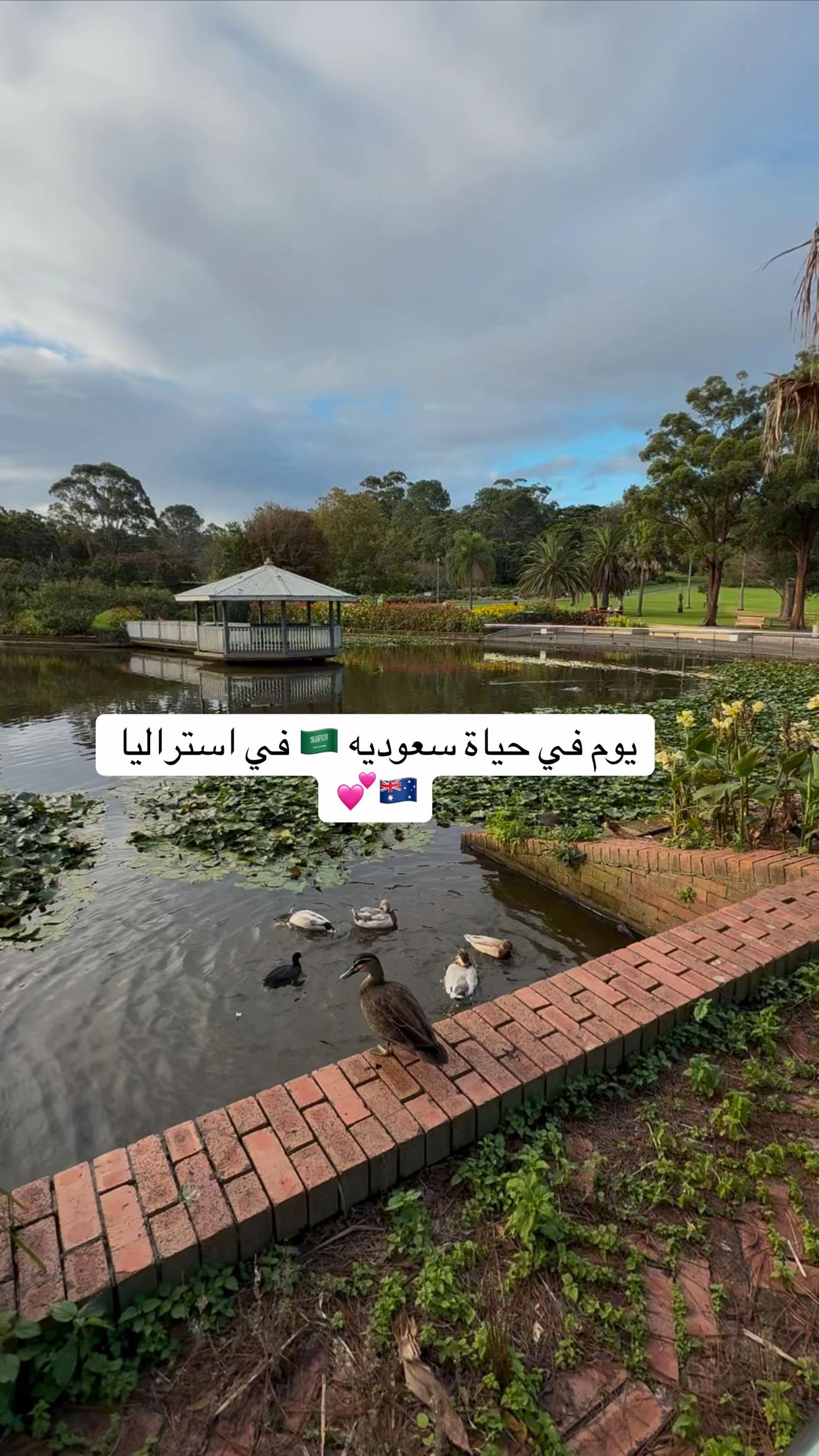 @By Dr.Sara 🇸🇦🇦🇺