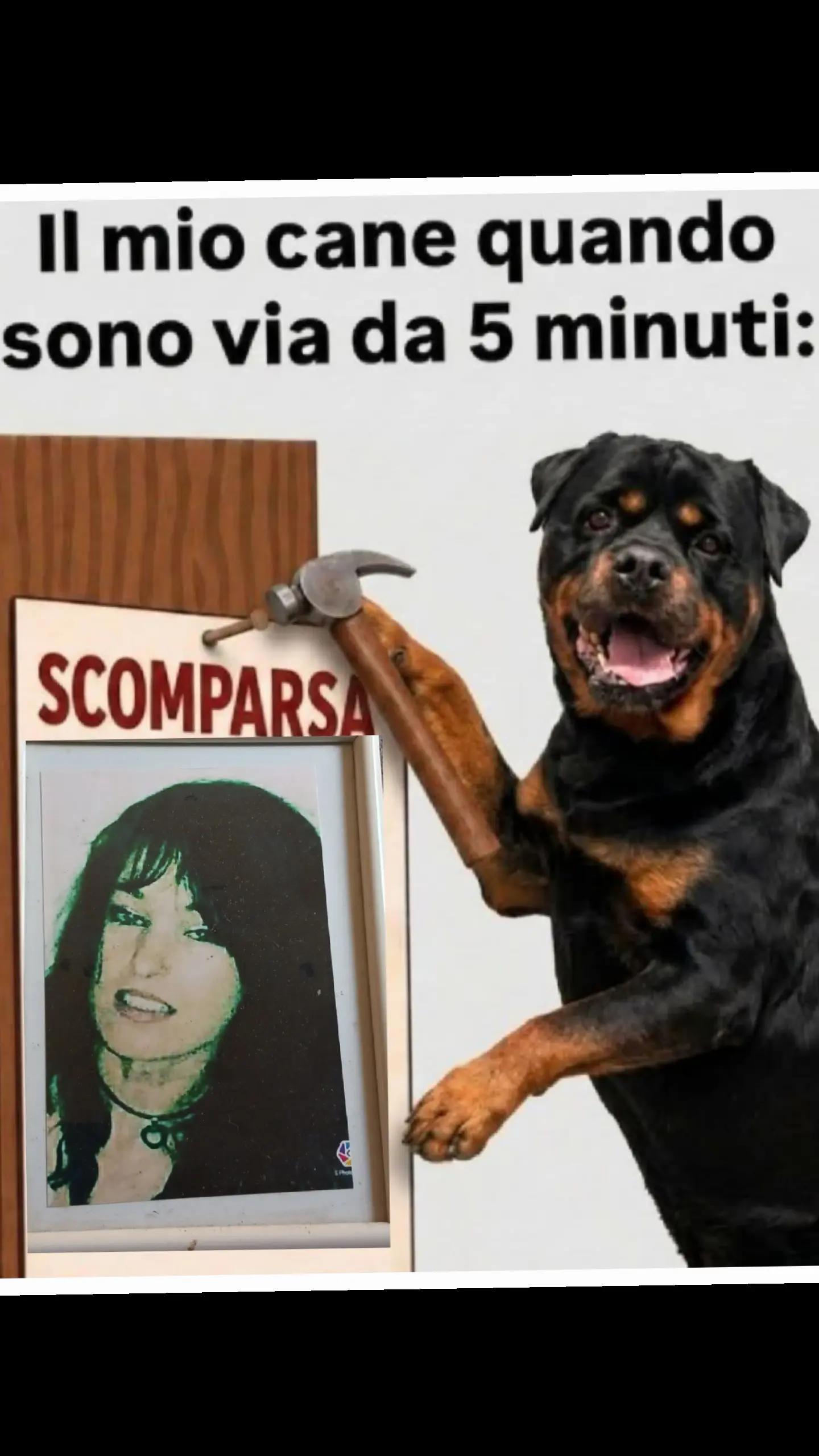 @ciopy