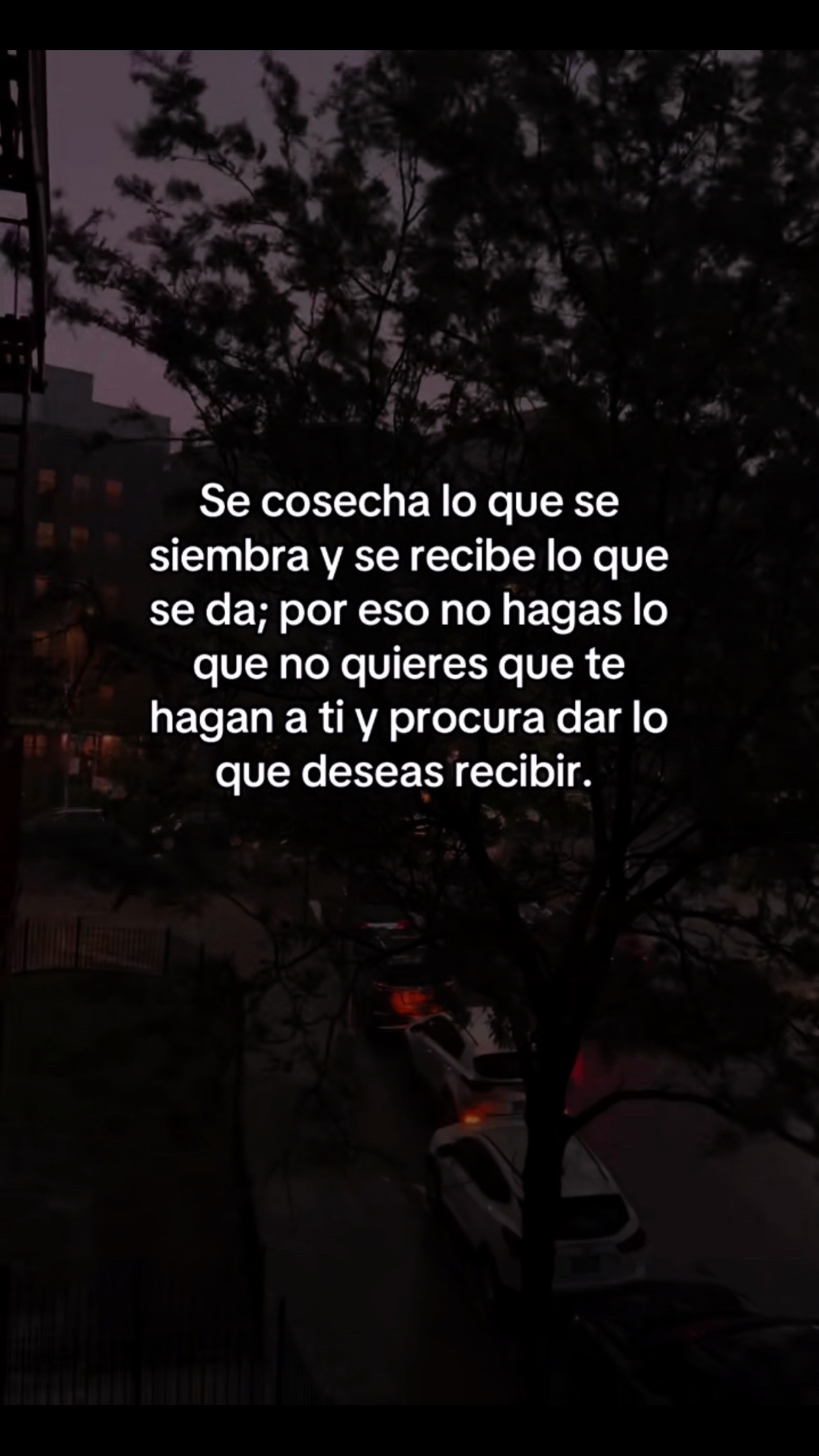 @Diana ๐๐น