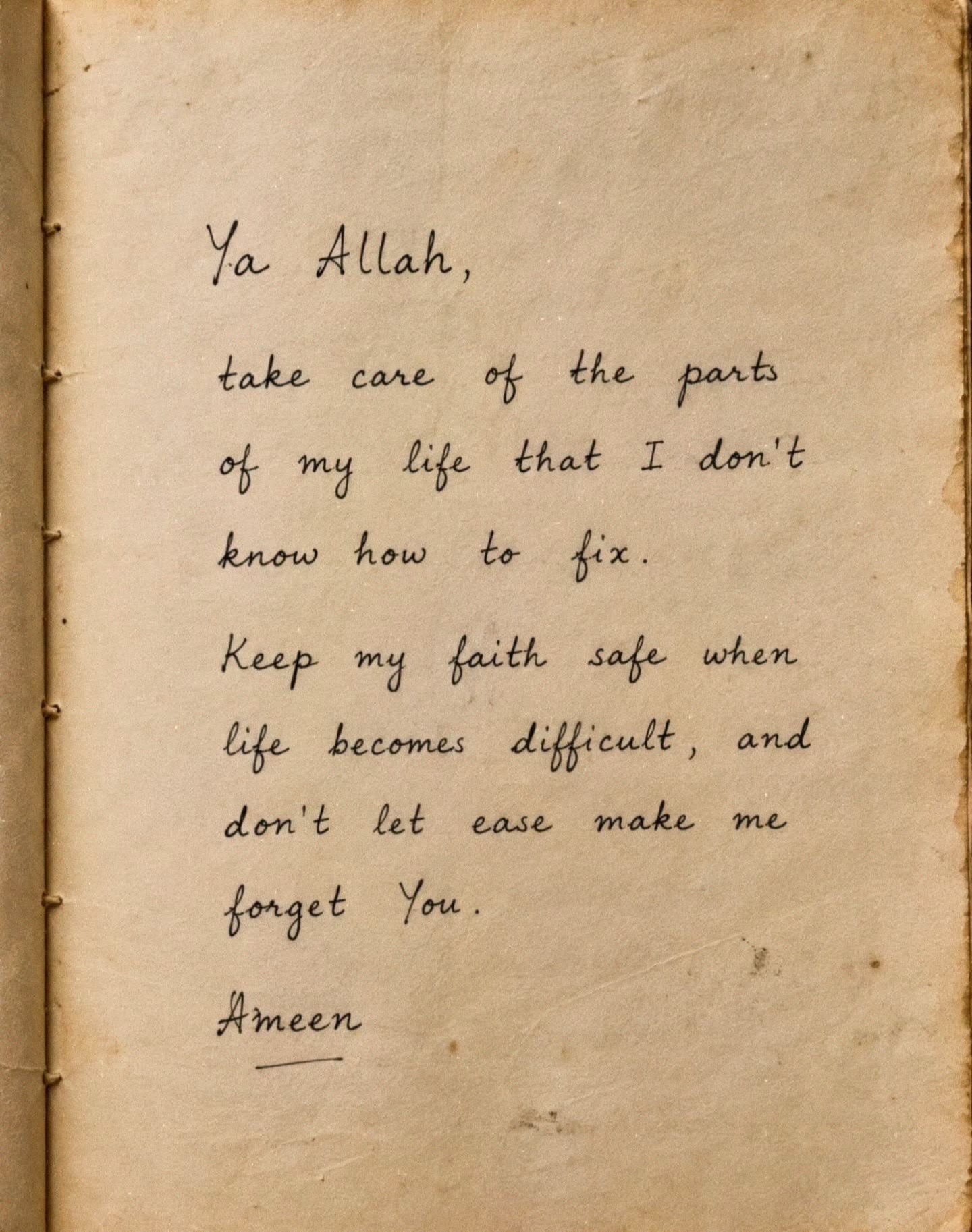 @Lubna Sayed🤲🏼لبنیٰ سید