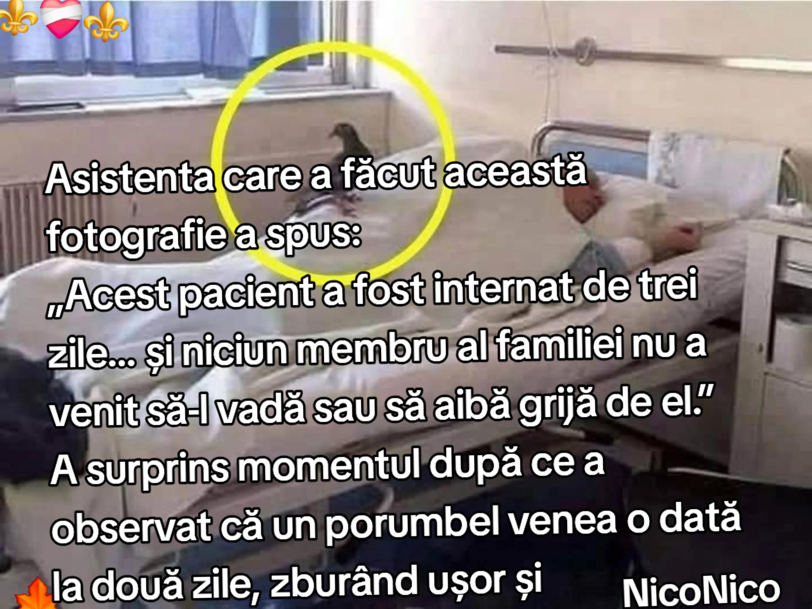 @NicoNico