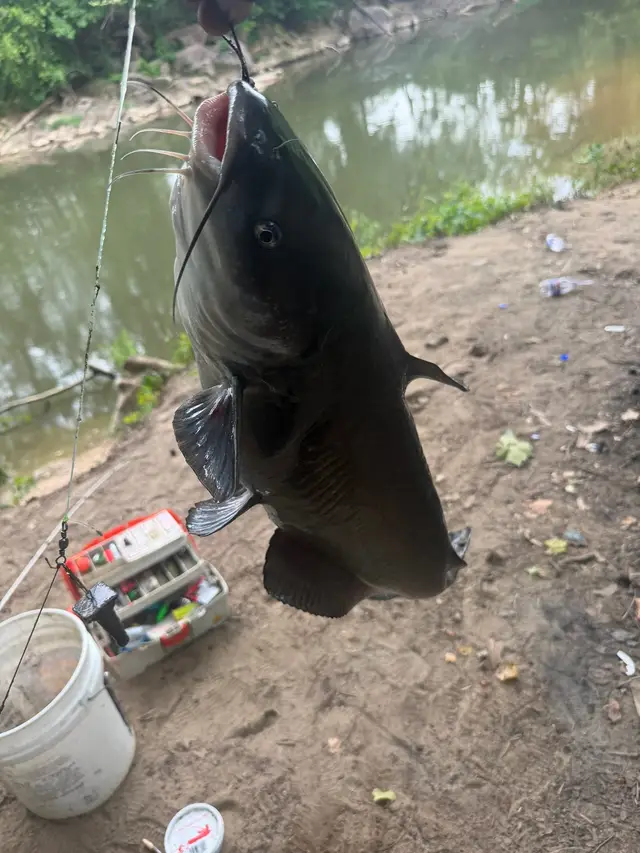 @DosOutdoors