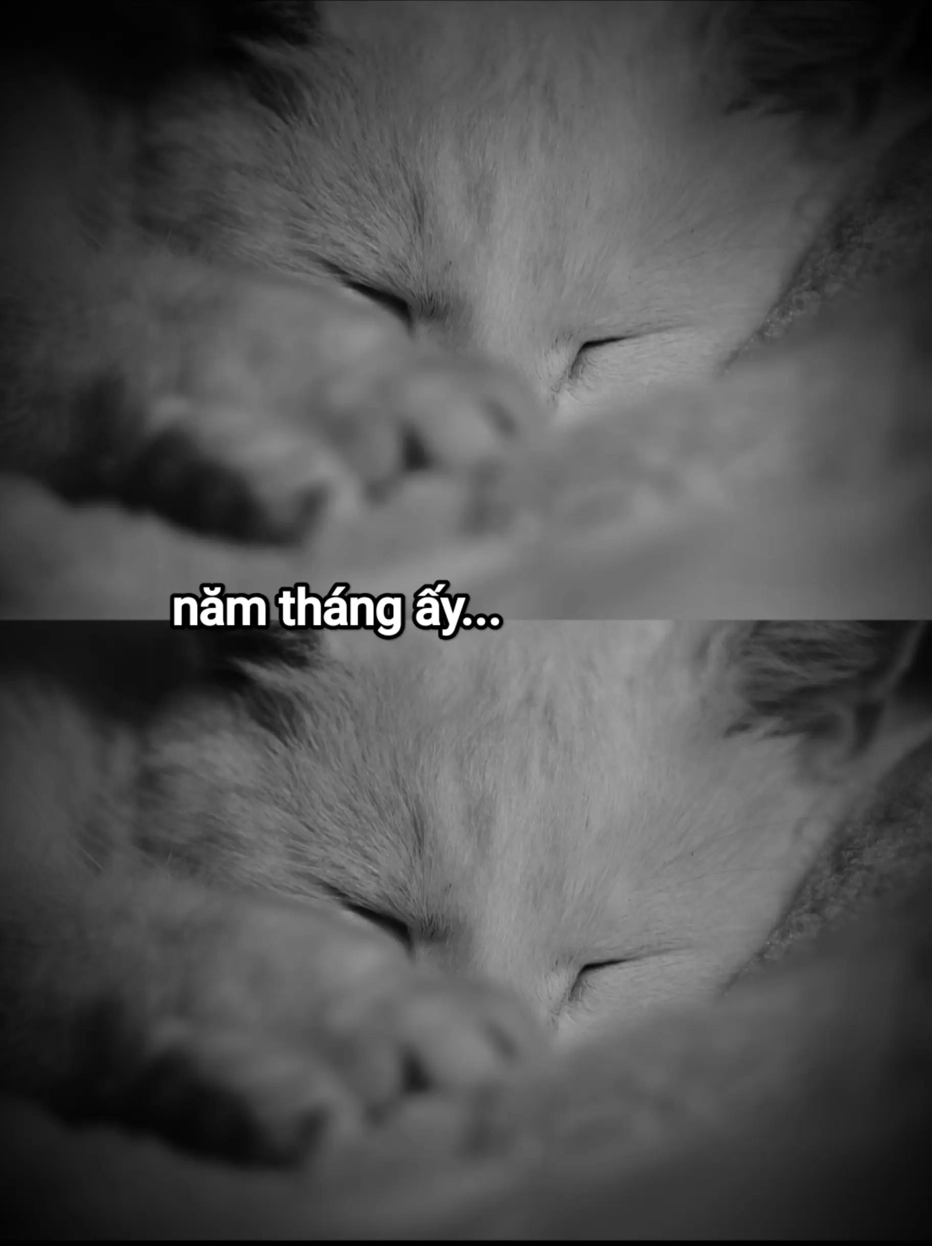 @long nguyễn😊
