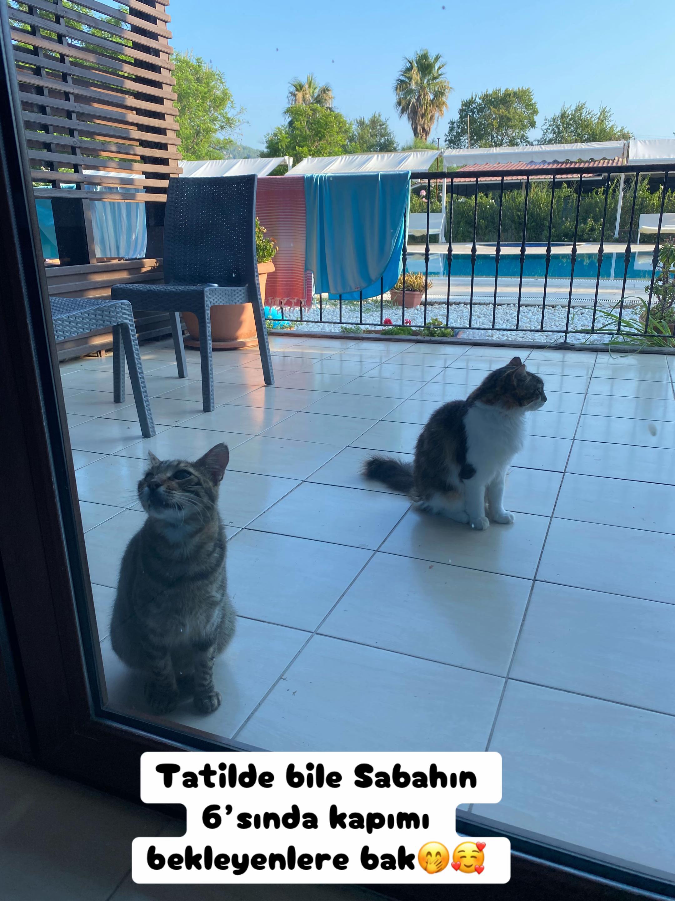 @Şapkalı Kadın
