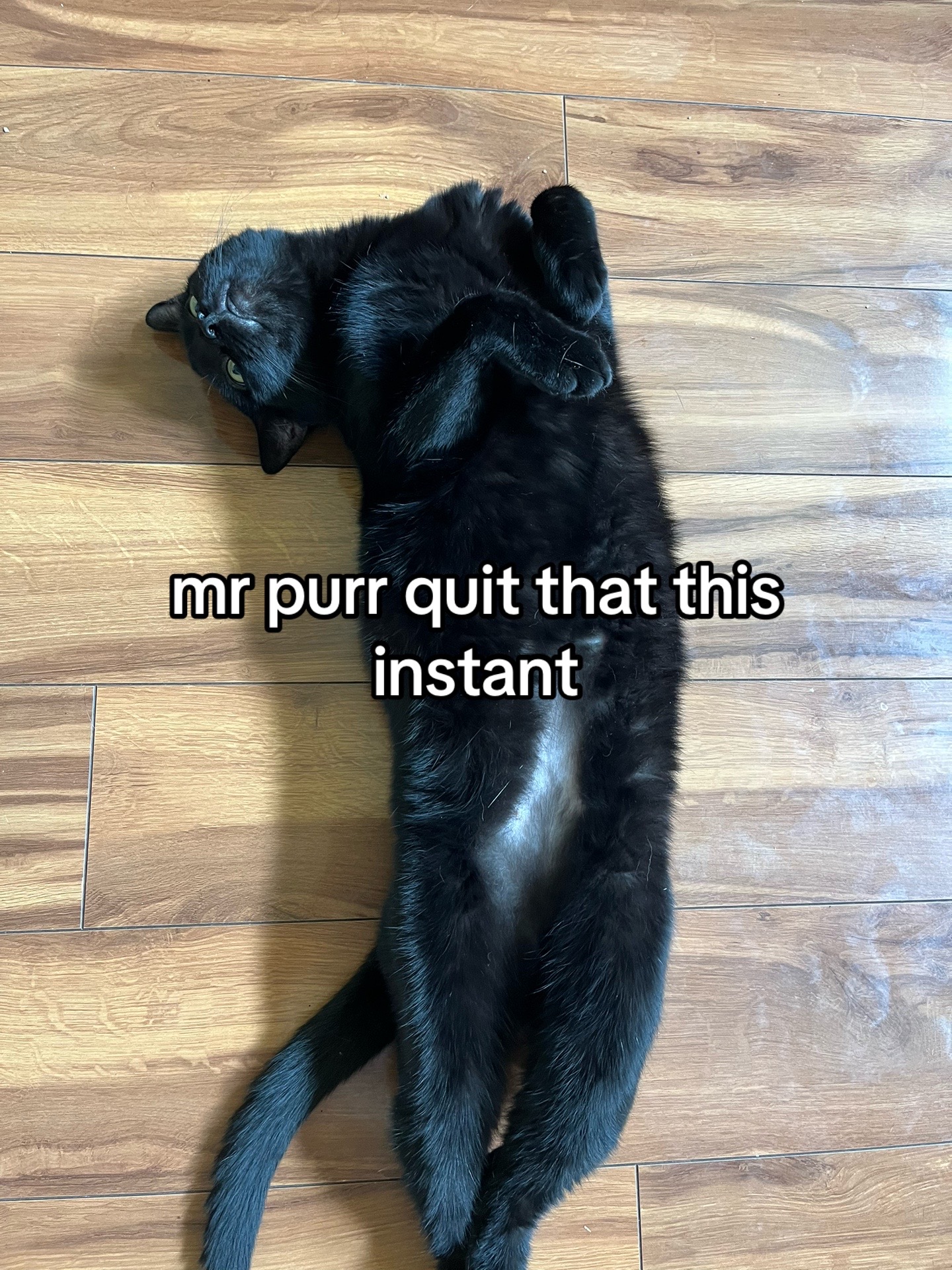 @fishy_fries