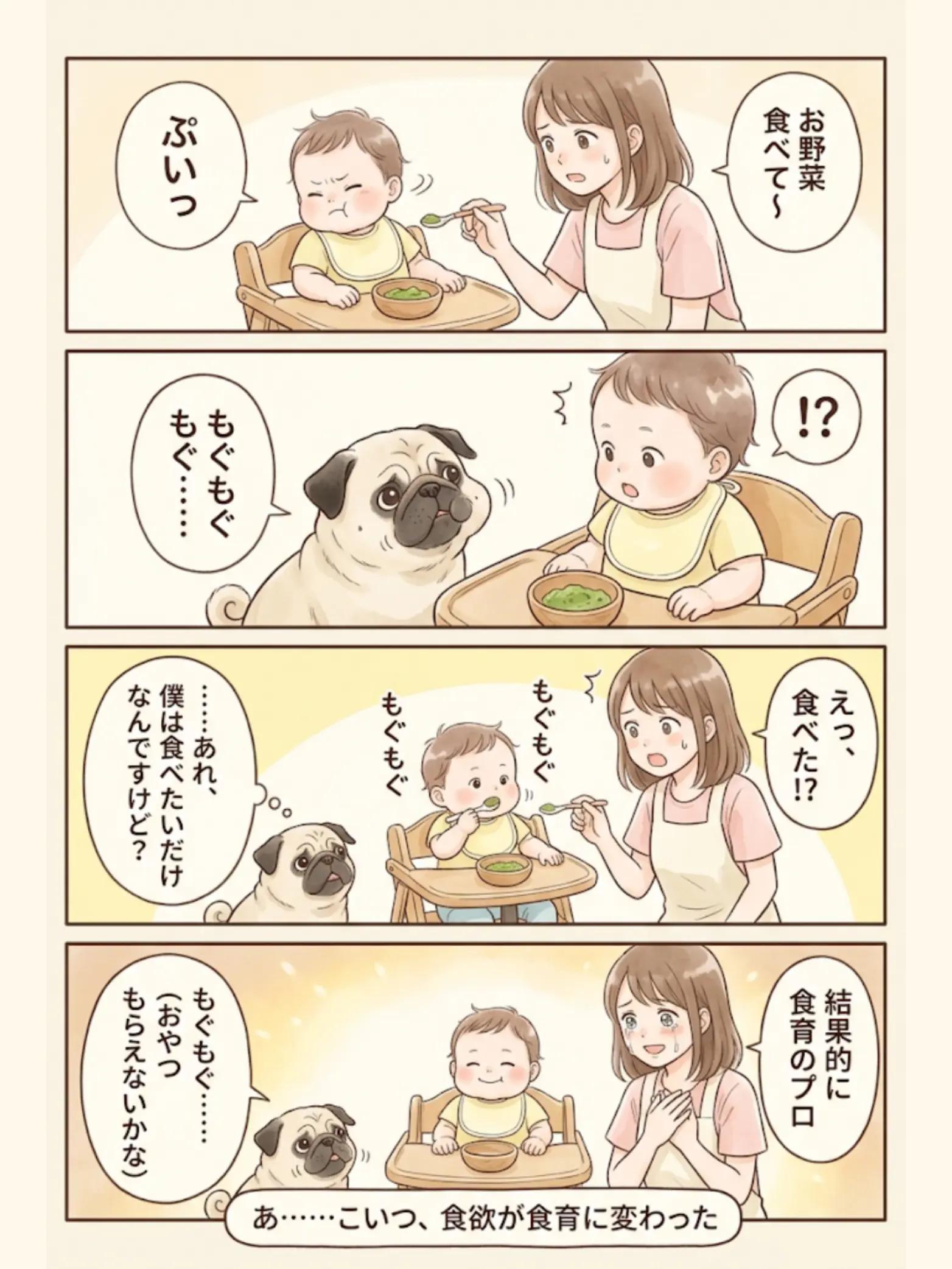@都内のチワワ