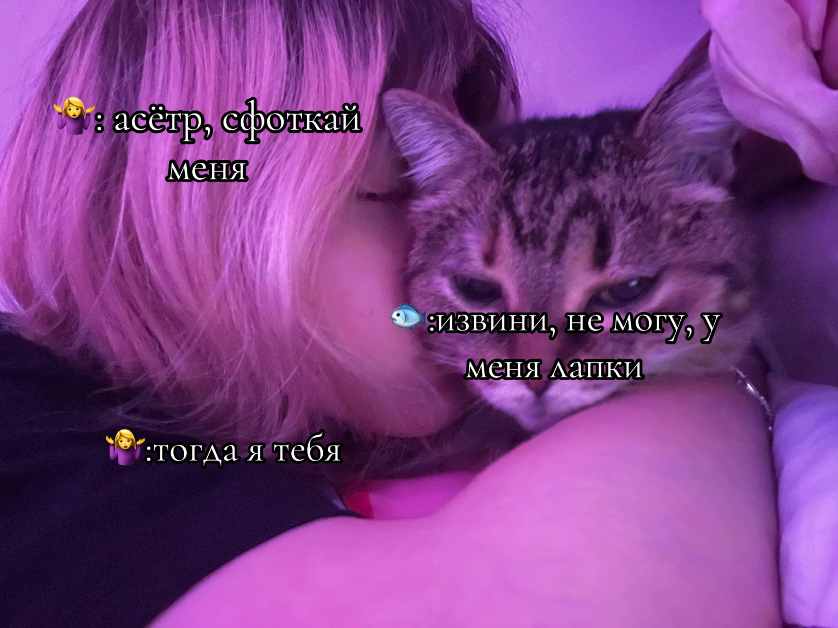 @соньчёус😛