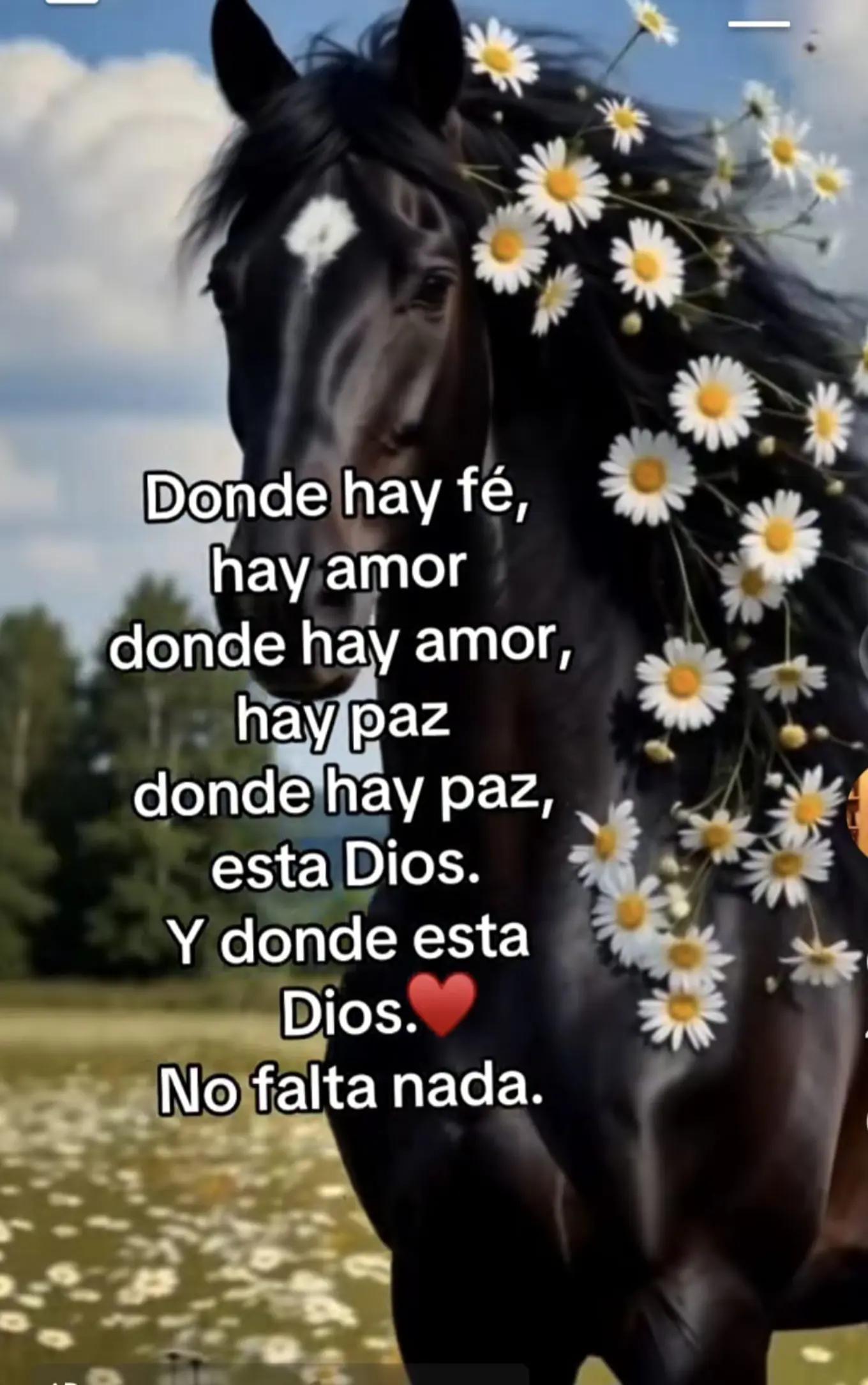 @esme Abrica salmeron