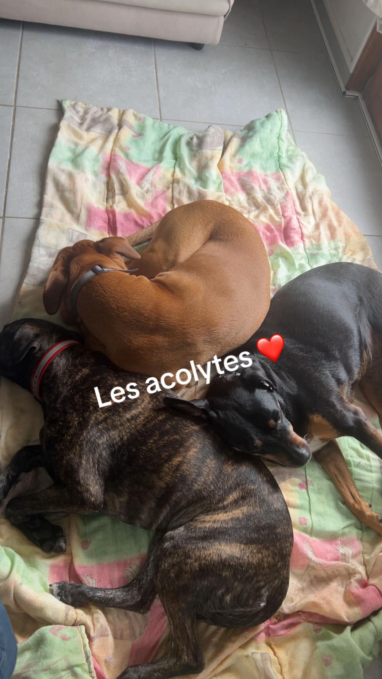 @Kathalina 🏳️🌈