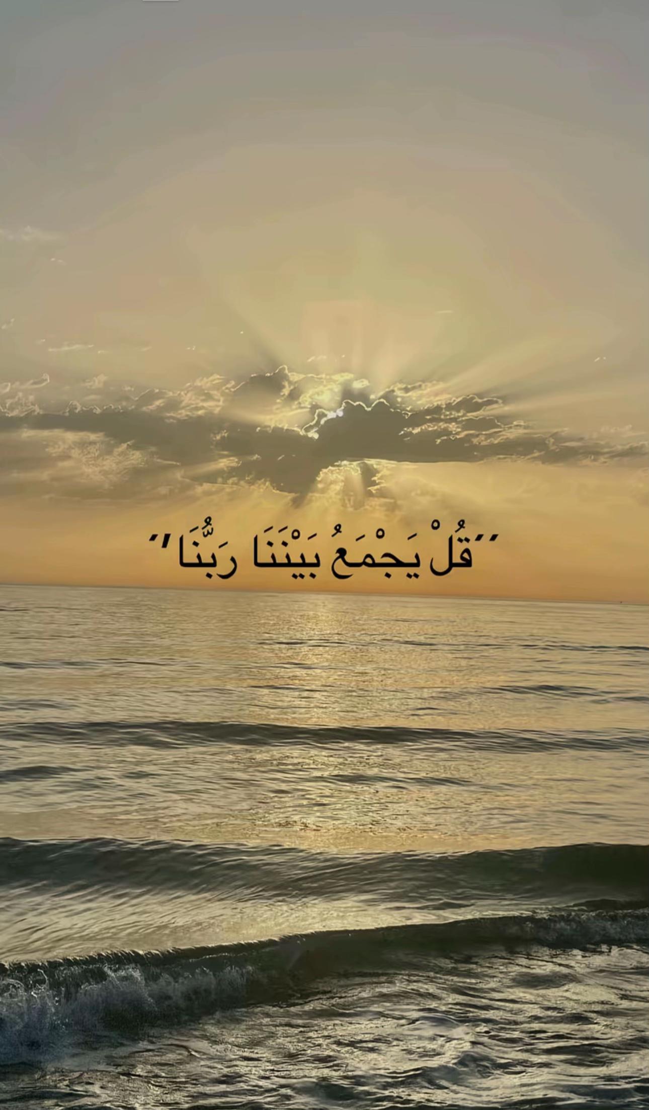 @🇸🇦&Ecirc;Mŷ🇪🇬