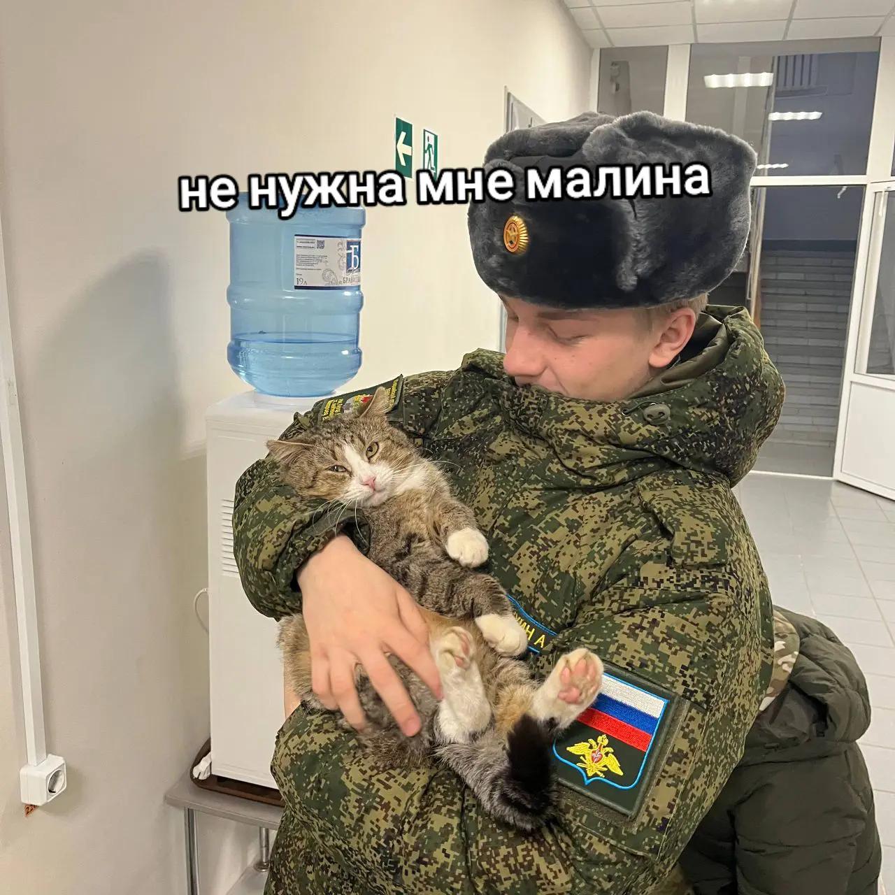 @тгк: Кадетология