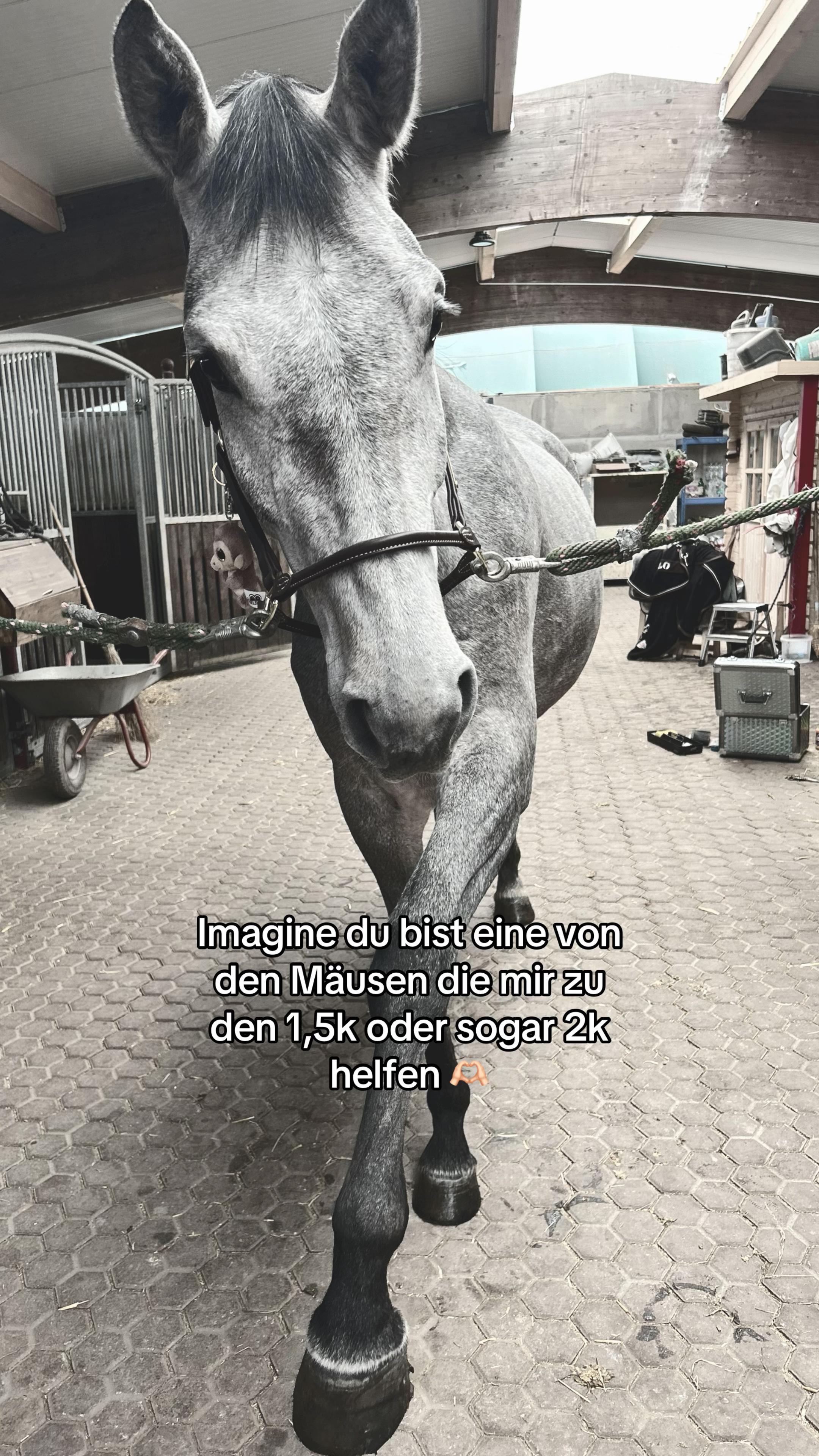 @𝐻𝑒𝑙𝑒𝑛𝑎. 𝑀𝑎𝑟𝑖𝑎 ღ