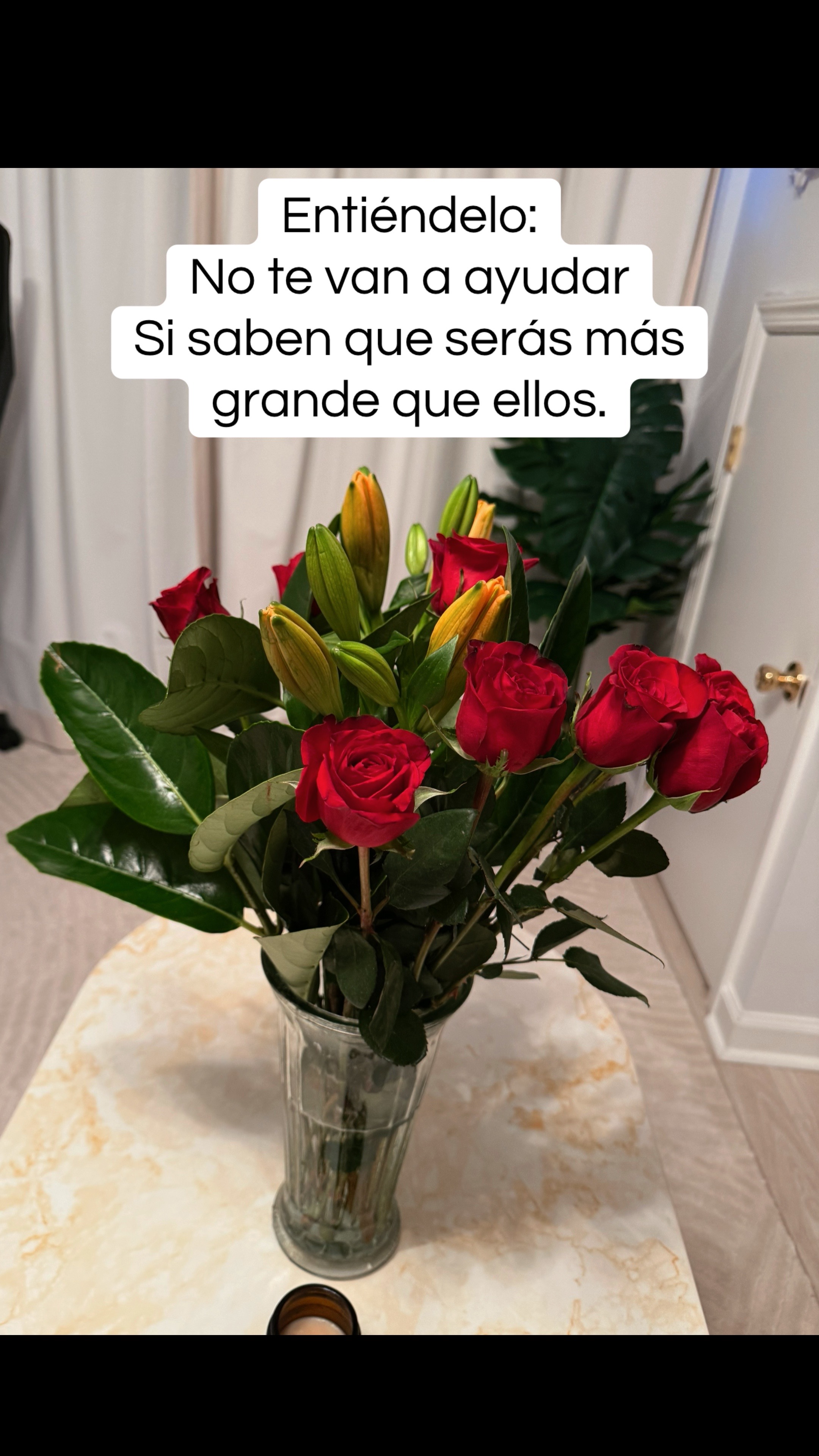 @Camila López 🍓🎧🧡