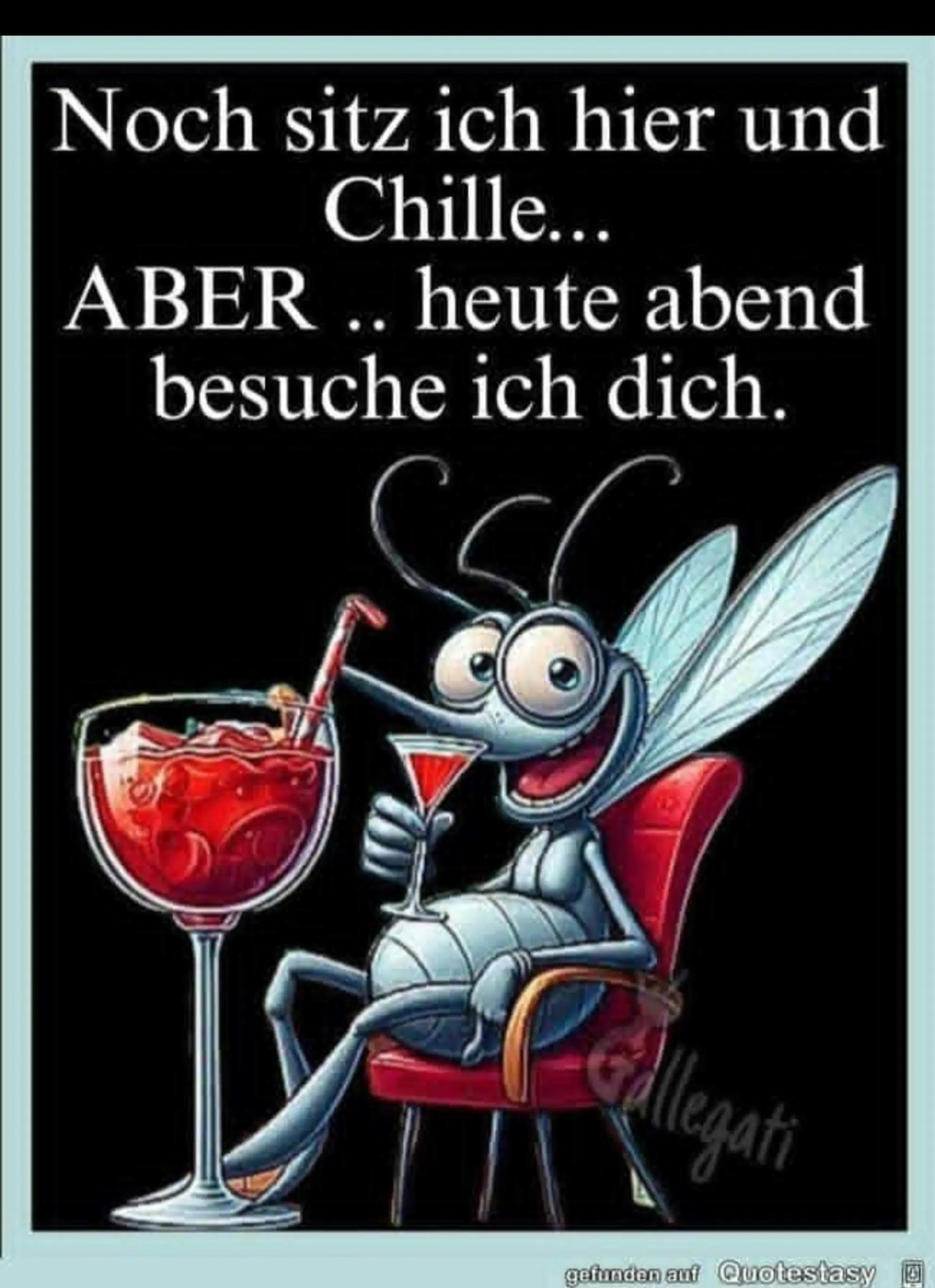 @Ruhepohl 🙏🏻🤪