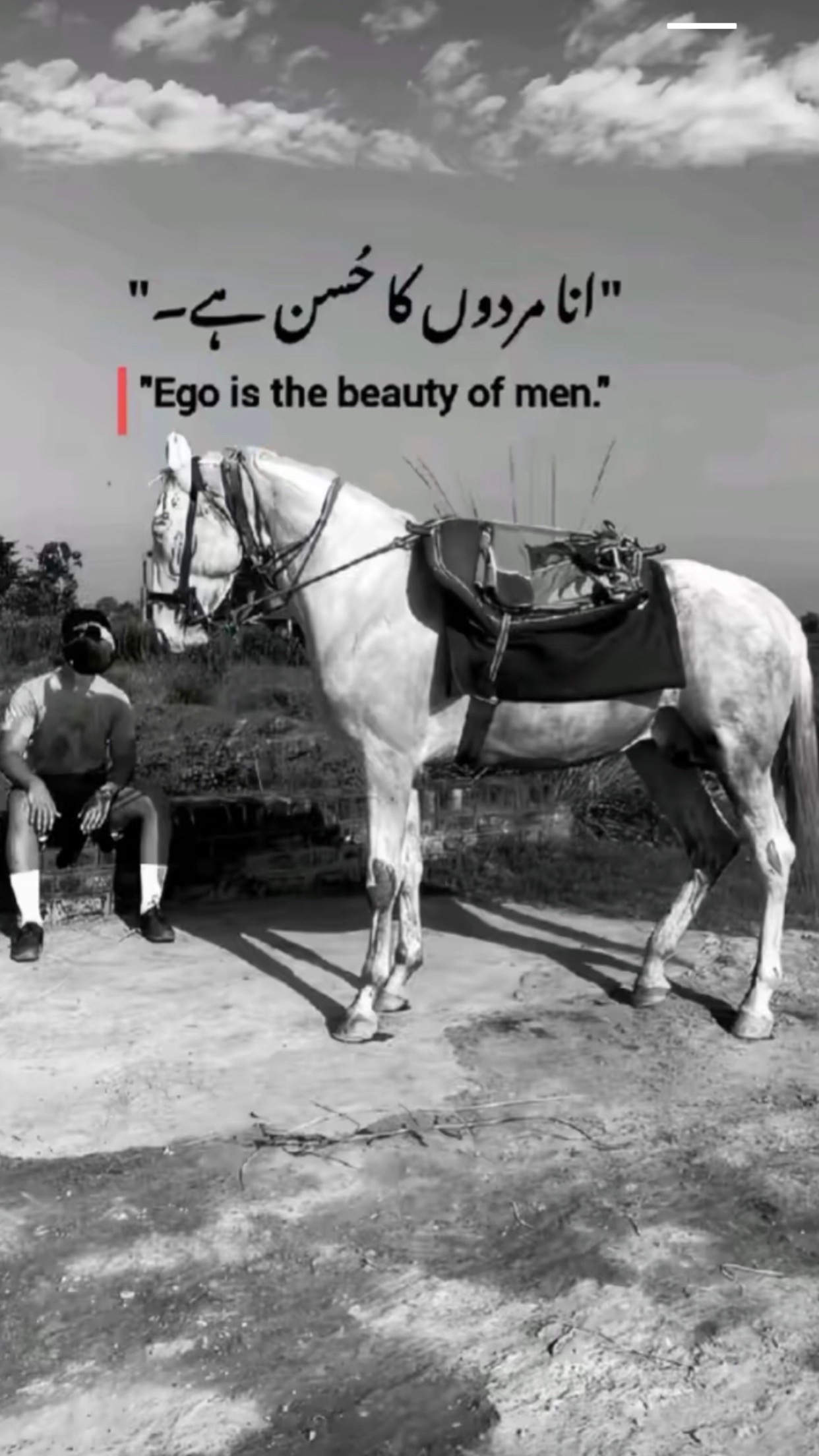 @حذیفہ امجد