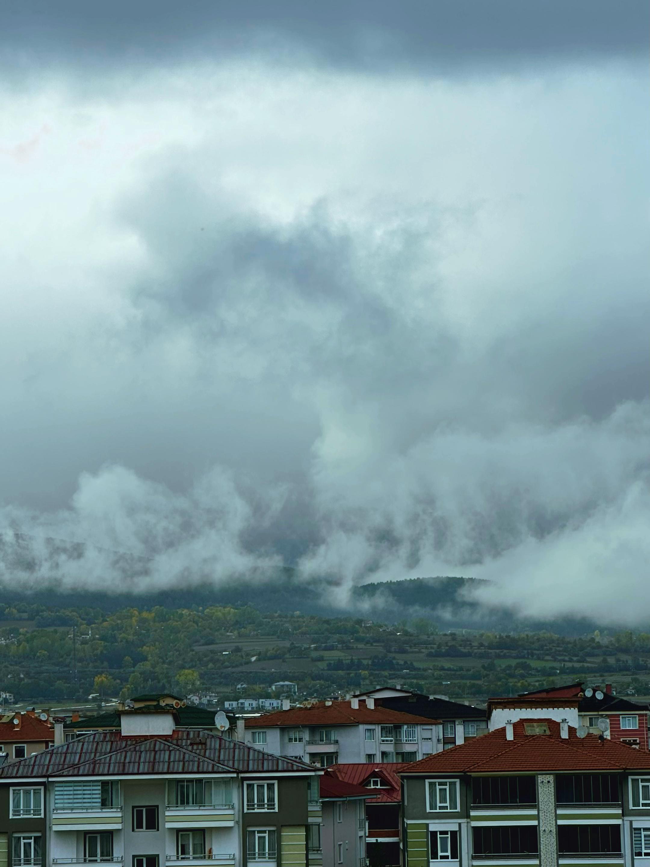 @Faruk Bey