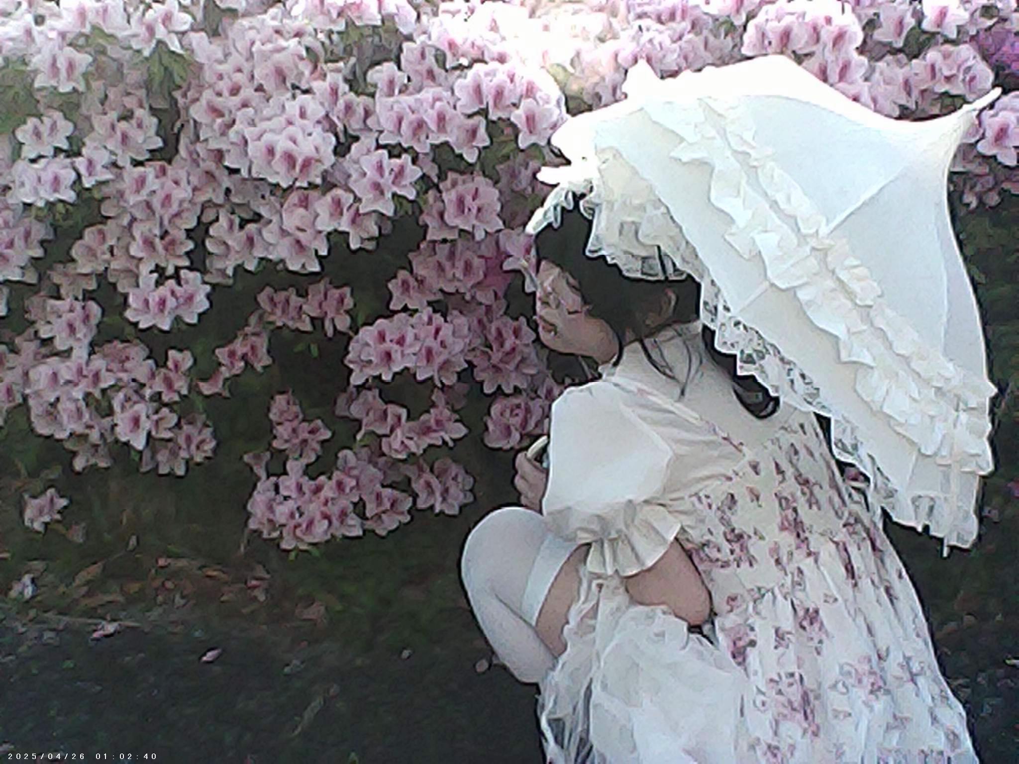 @処女カッター