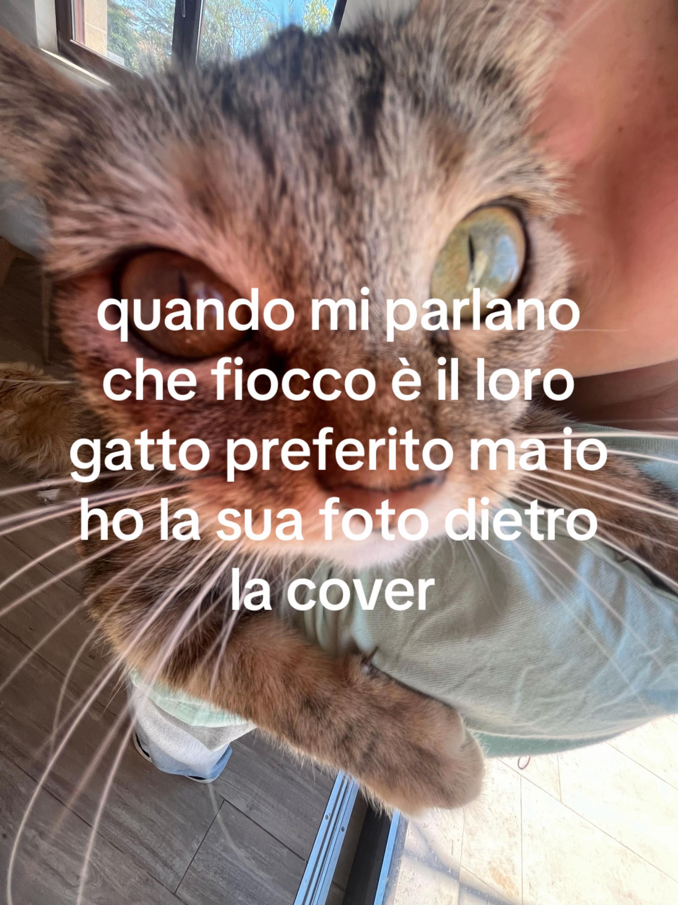 @𝓟𝓪𝓵𝓶𝓪🌻✨💫