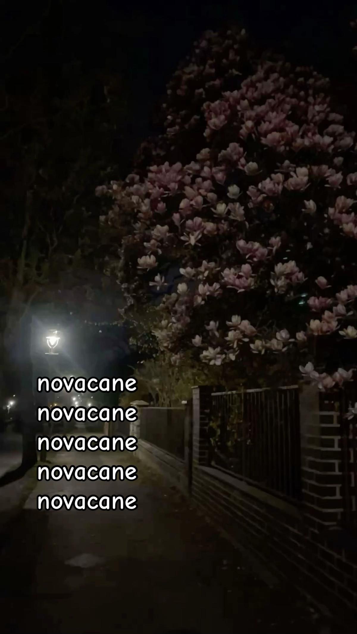 @𖣂︎