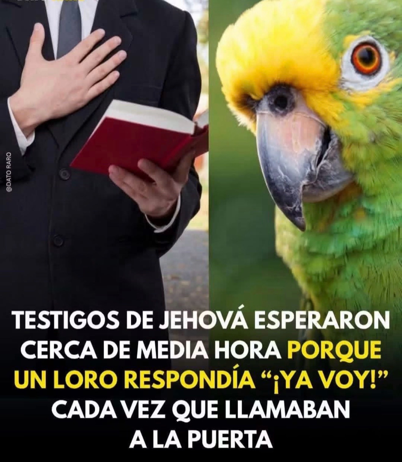 @Juankkarlo
