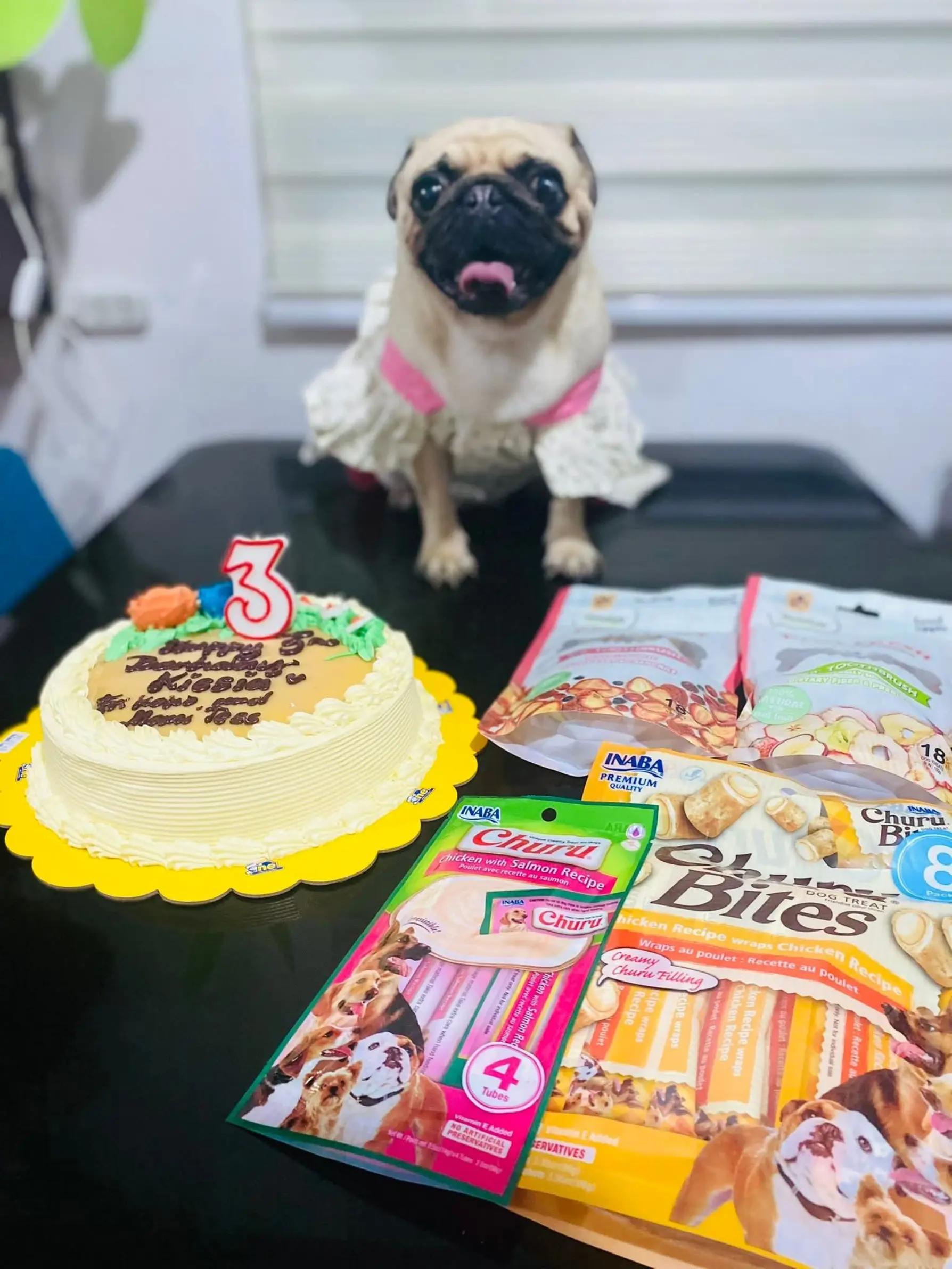 @PawmilyaSweettzu & Furbuddies