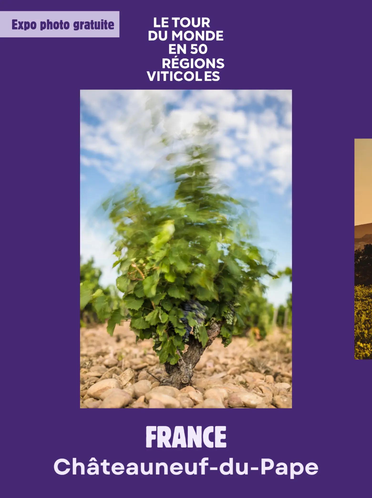 @La Cit&eacute; du Vin
