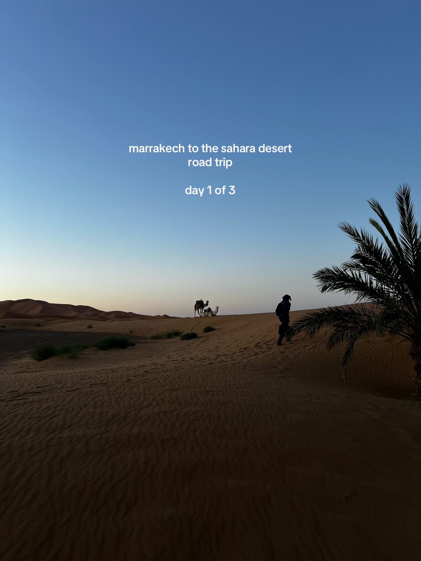 @Noor Travel