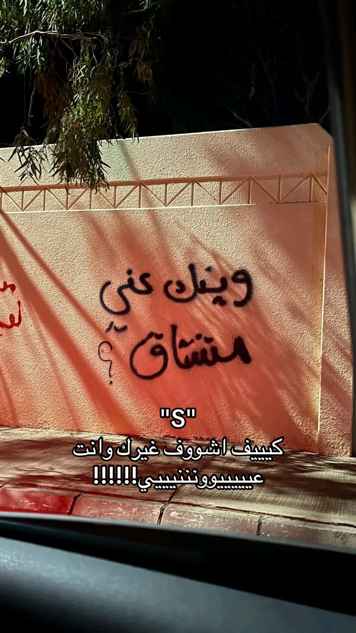 @انسانه تعشق S وبشدة !!