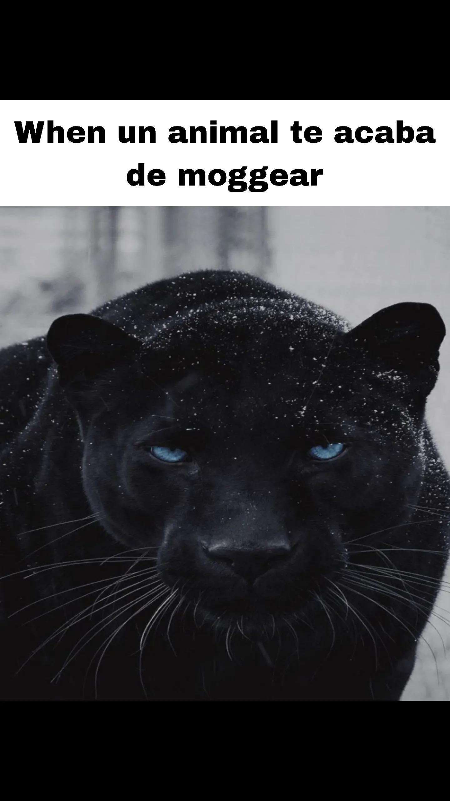 @Orb99