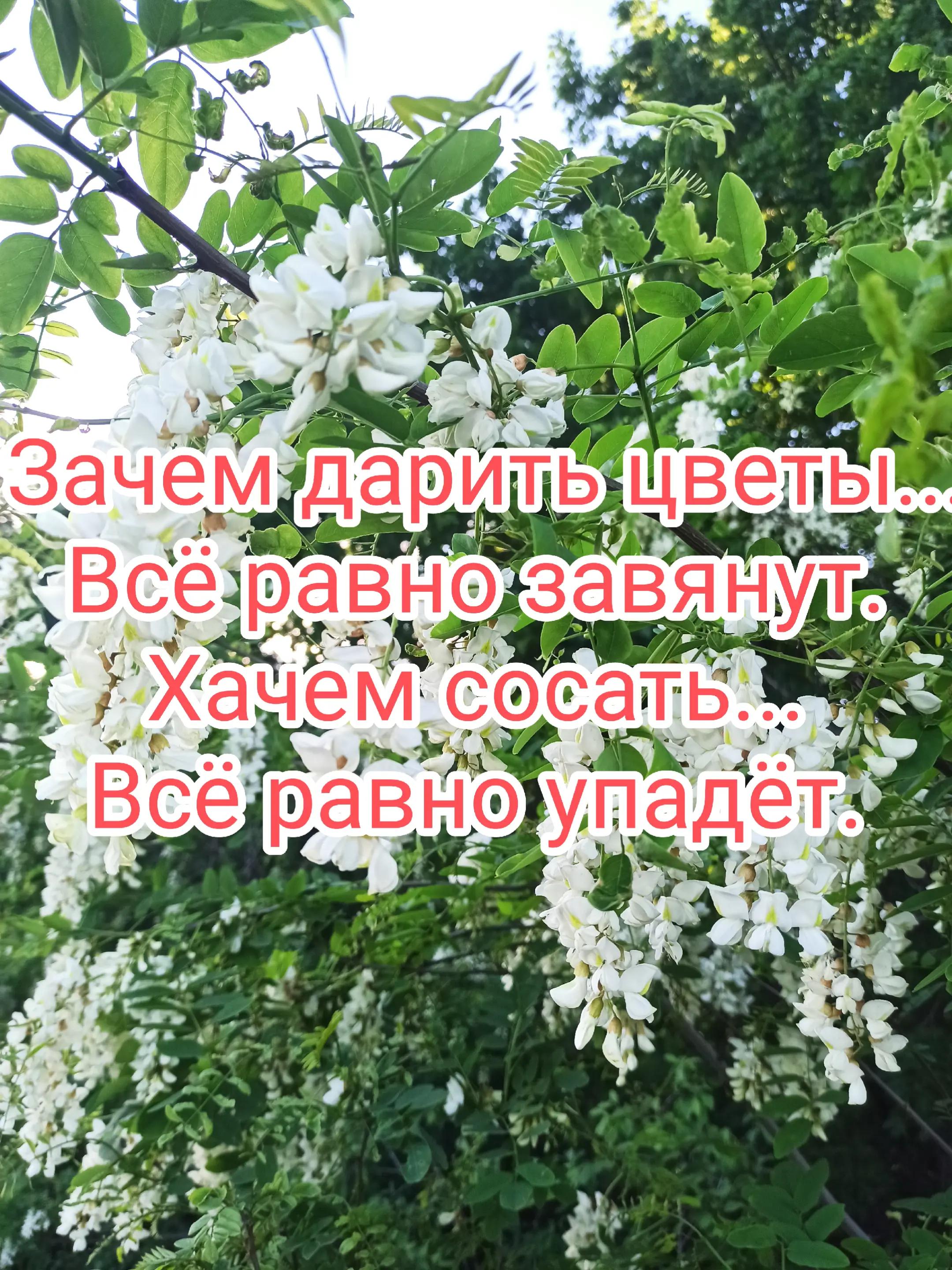 @Alekcandr